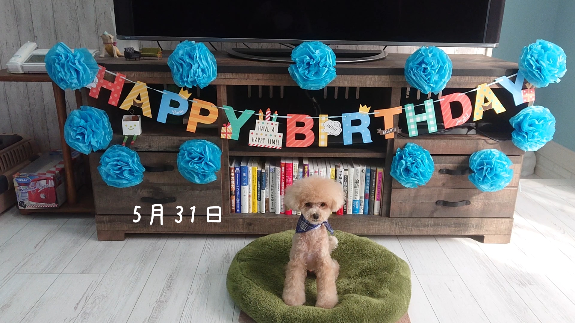 HappyBirthday♡モコ