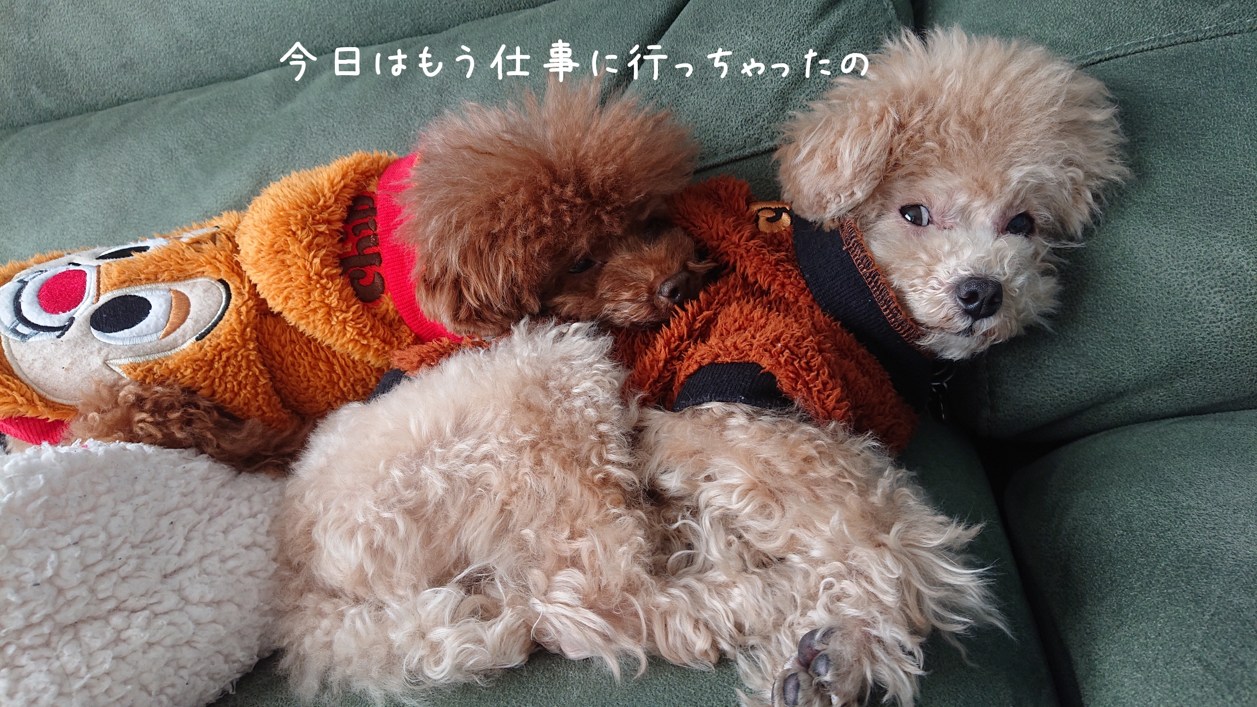 今日からまた…