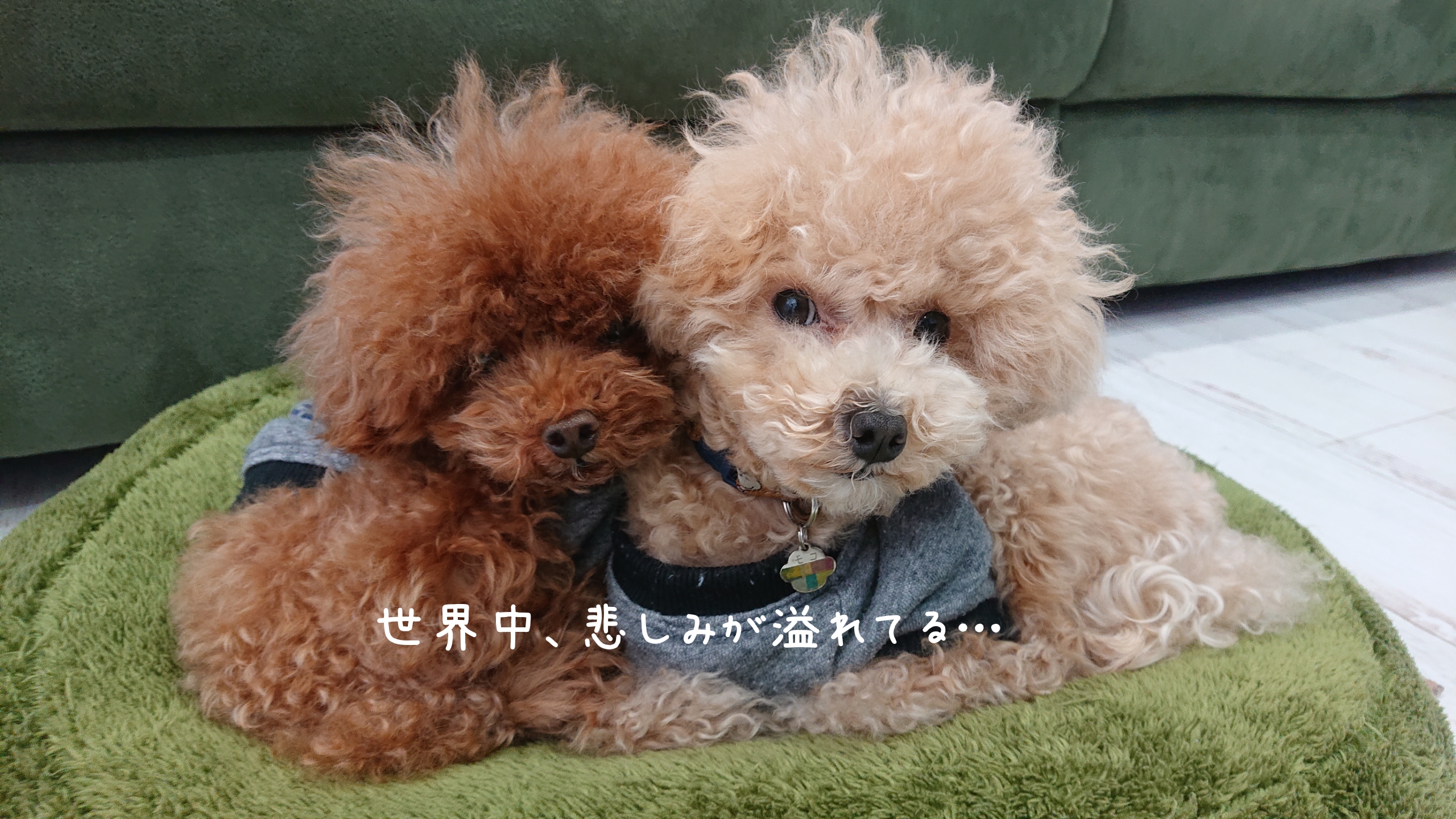 悲しみ