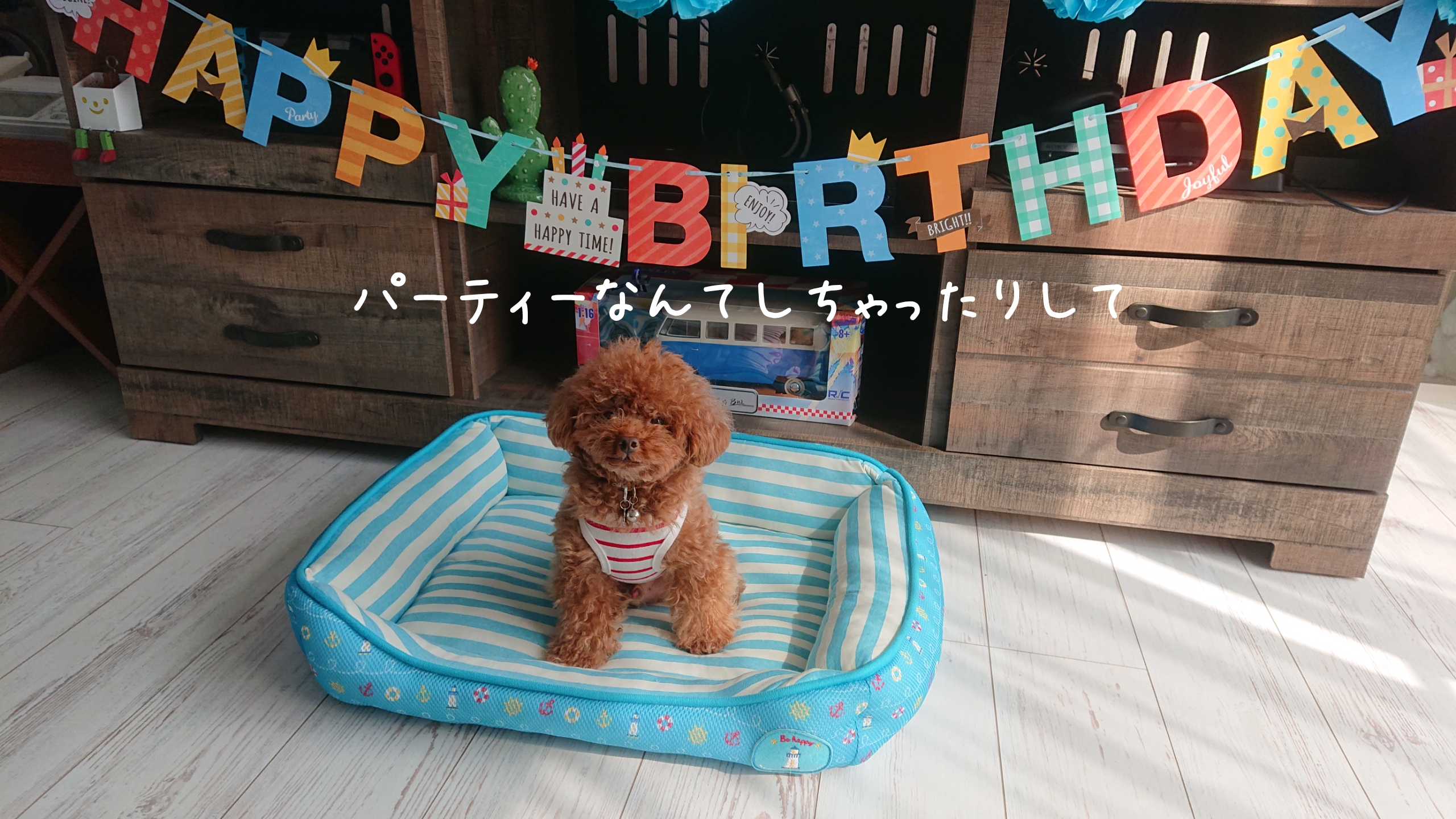 看板犬 チビ
