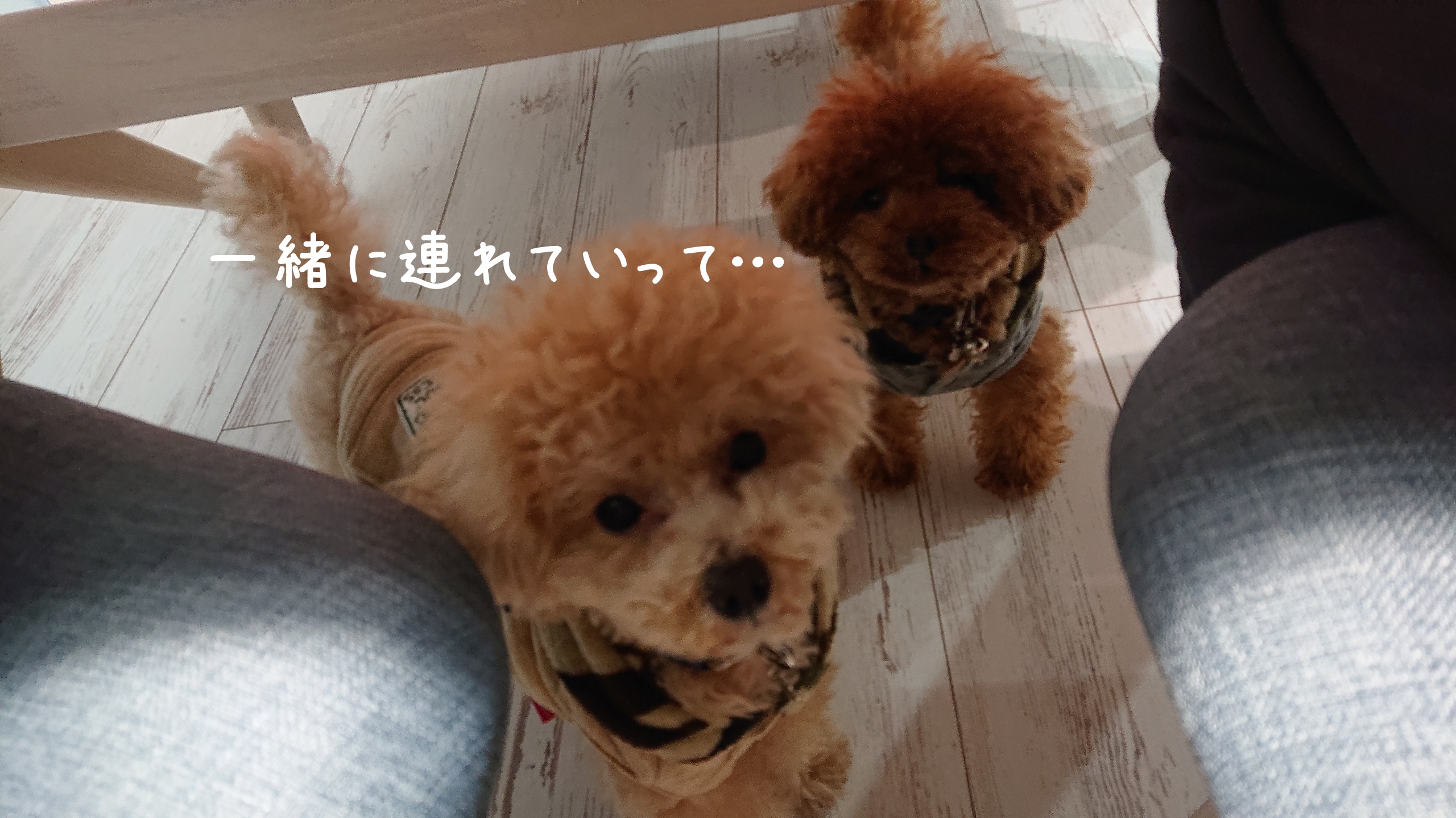 連休とウイルスを乗り切る作戦