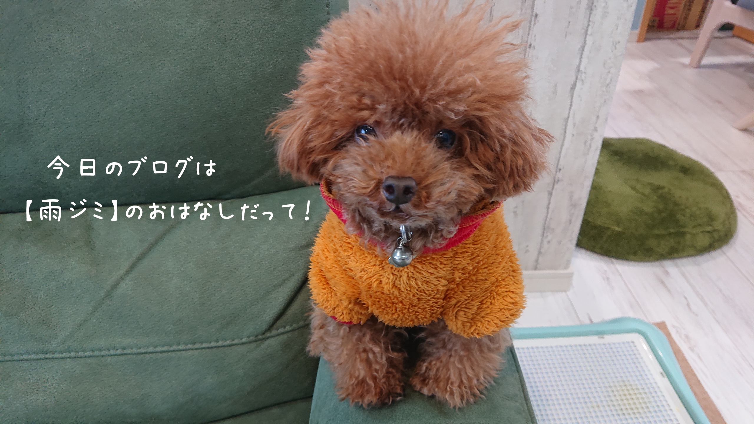 手におえなくなる前に……