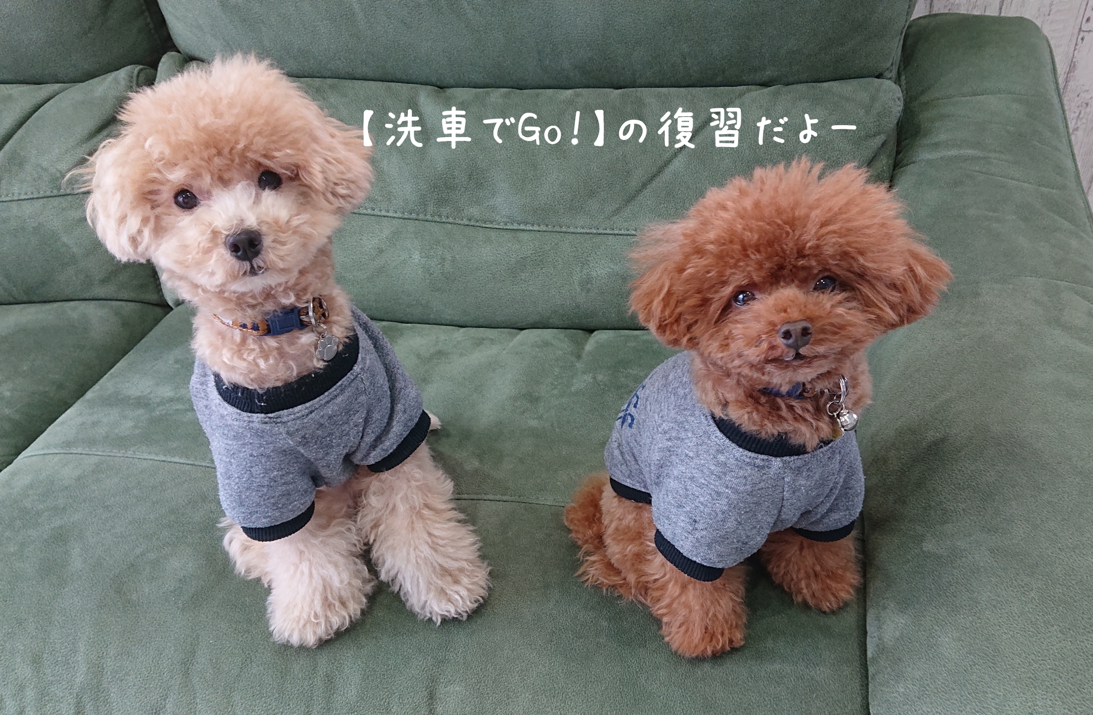 トラップ粘土の使い方