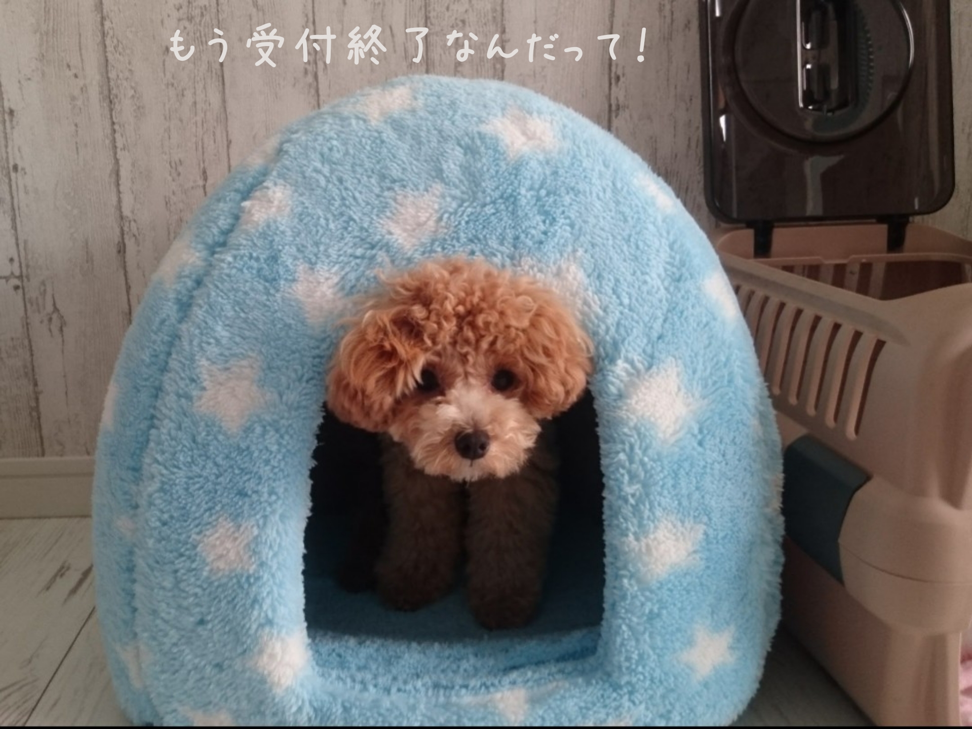 父の日ギフト受付終了のお知らせ