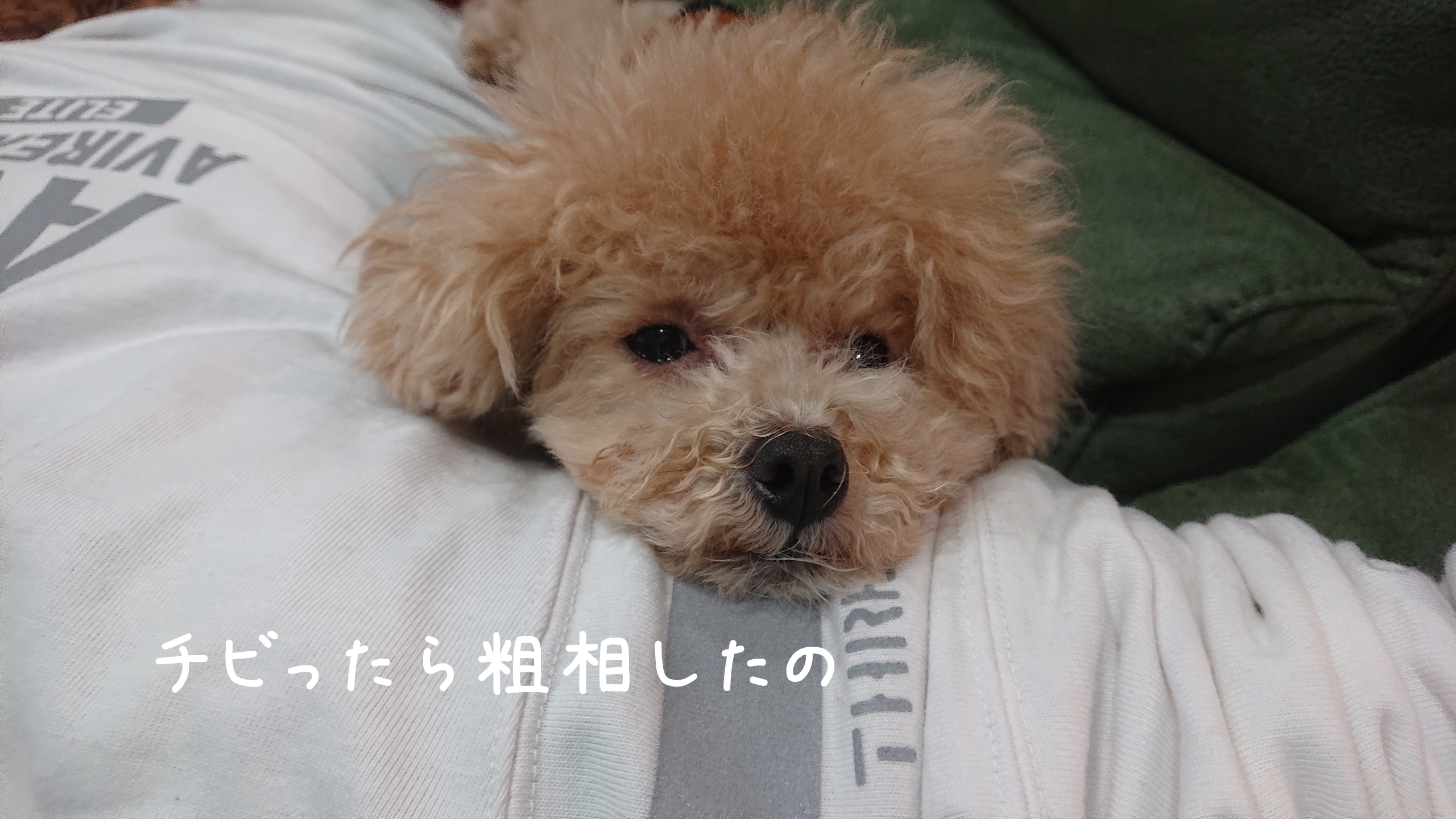 粗相しても怒らないで大丈夫！