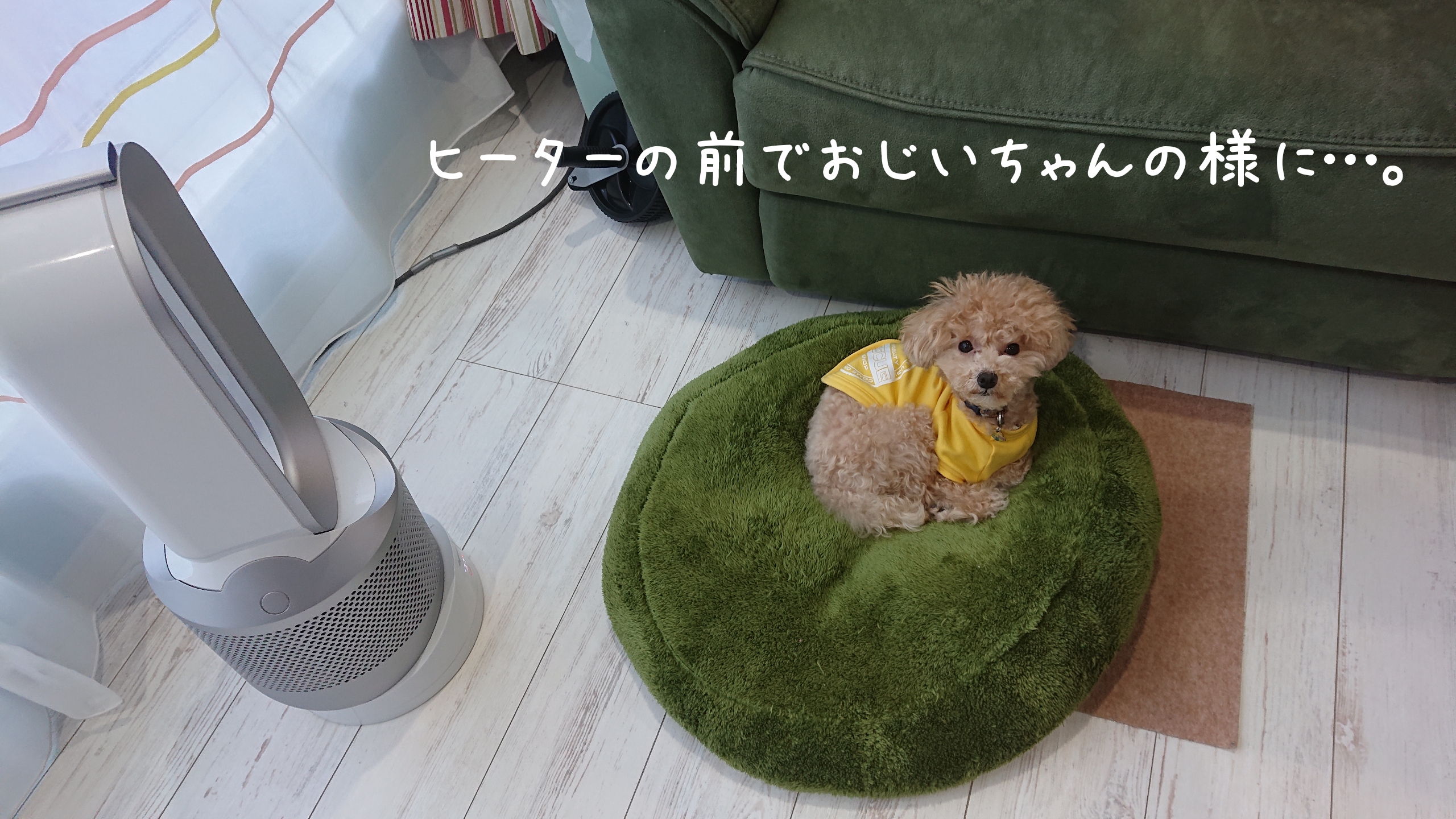 看板犬モコ