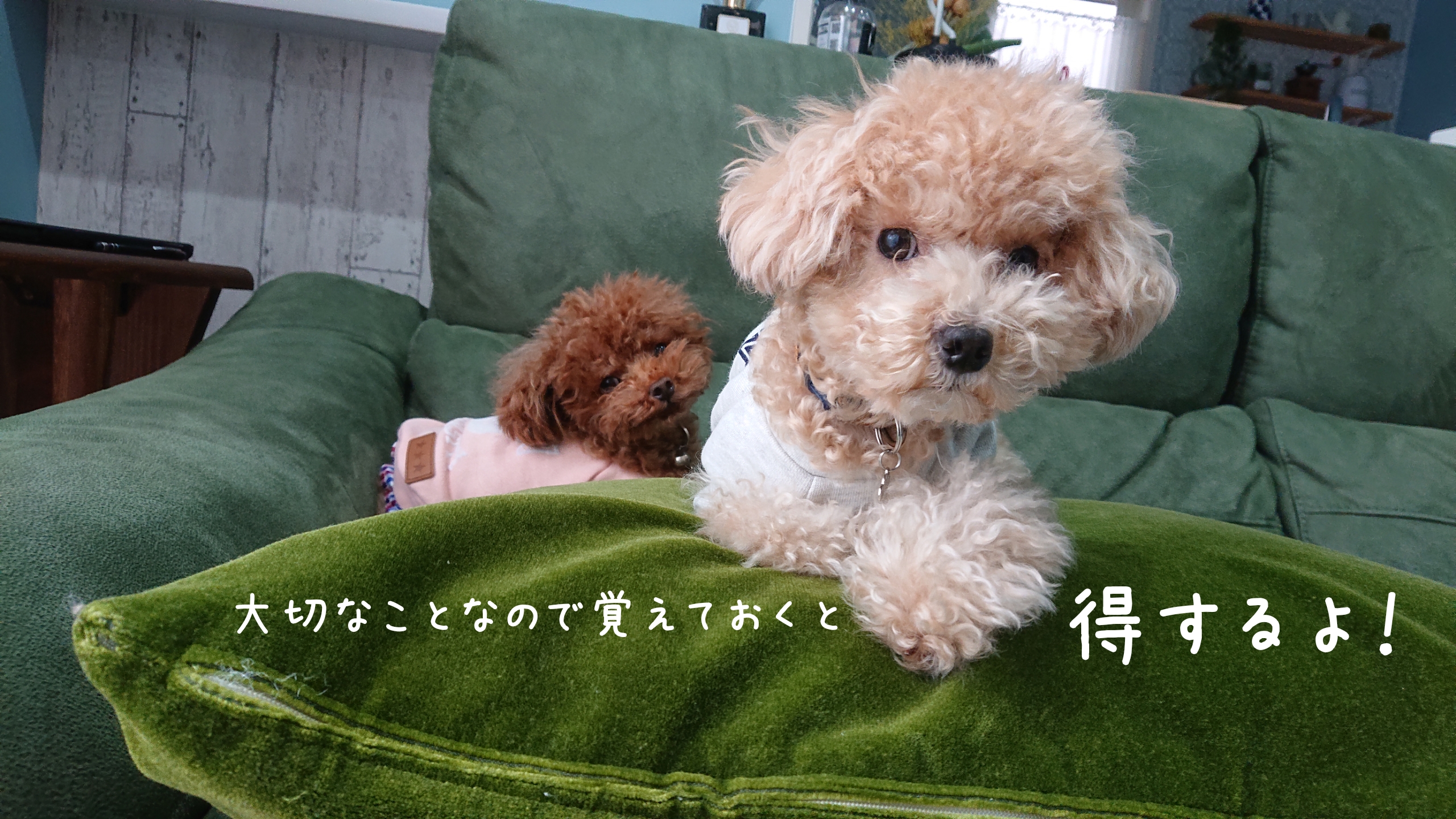 【施工証明書】大切な事なので復習しましょう！