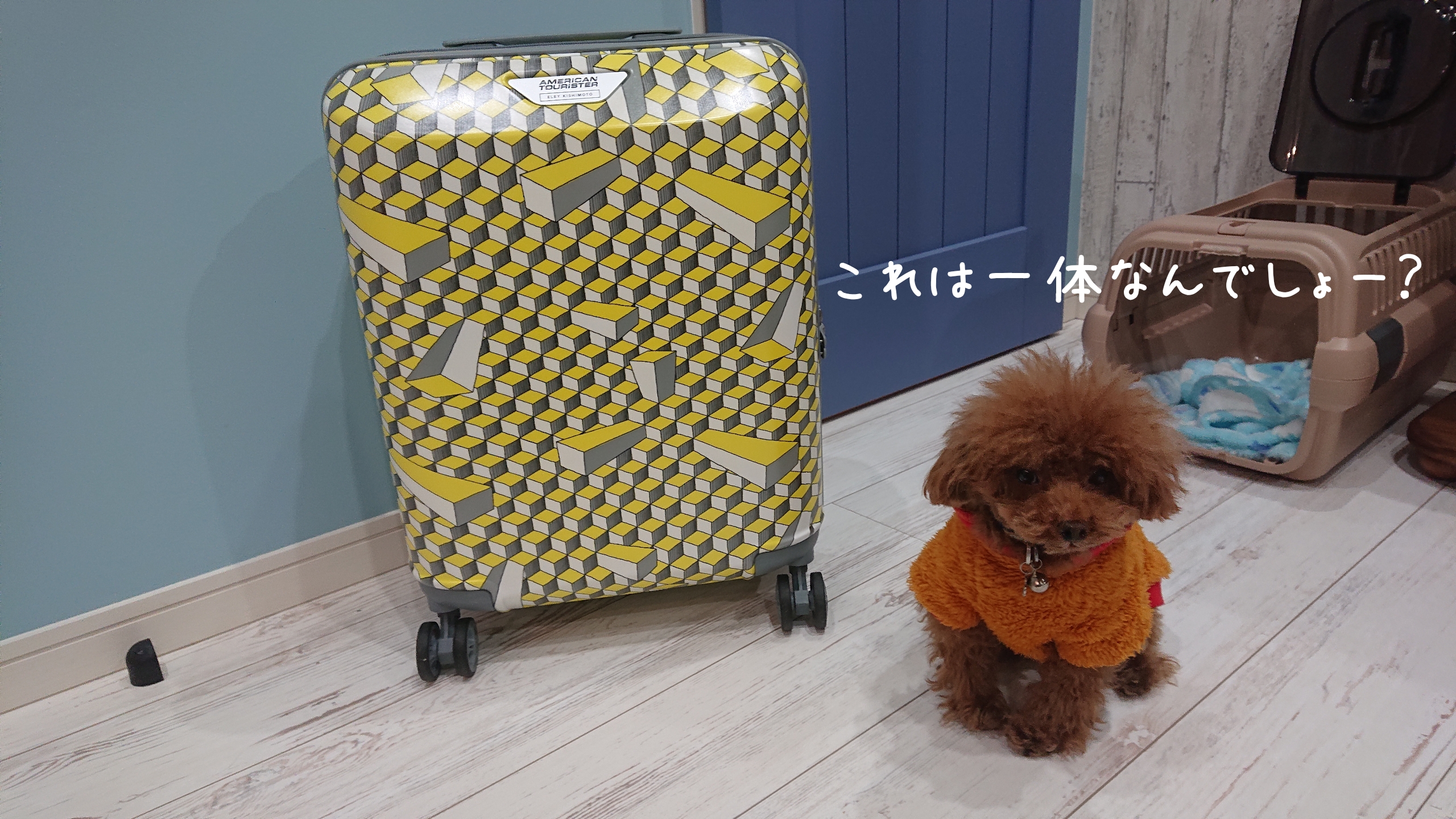 従業員のひとりごと。