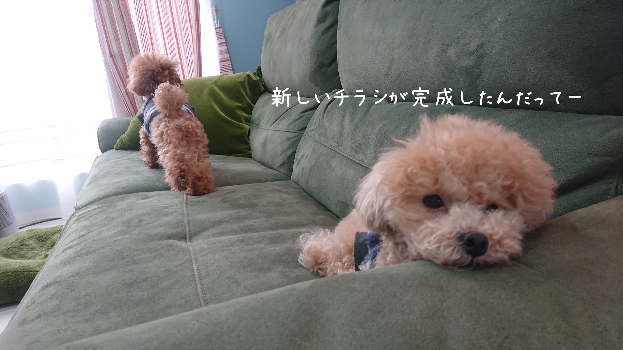 楽しいことはじめます！！