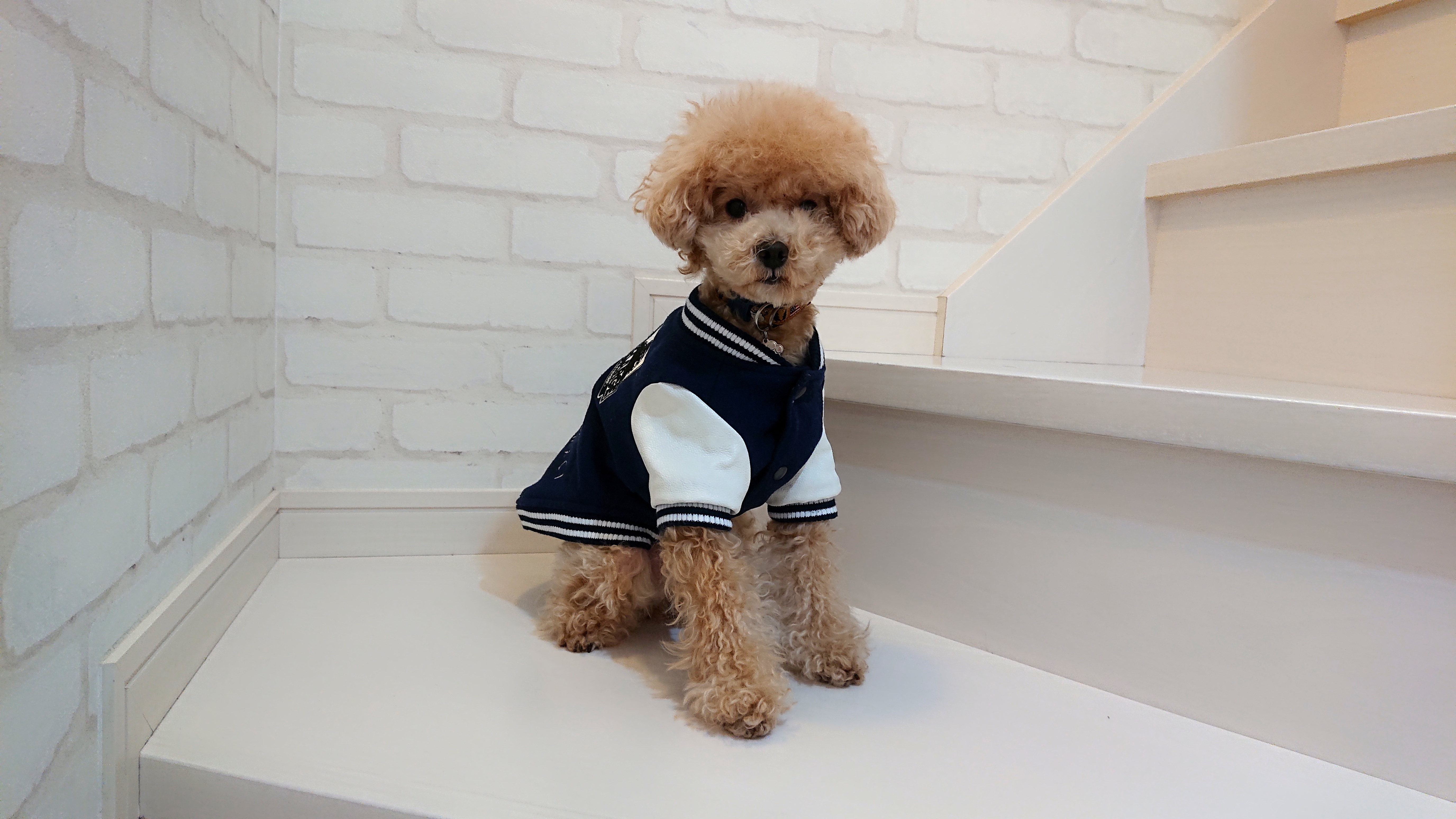 モコチビ、楽しみだね😃