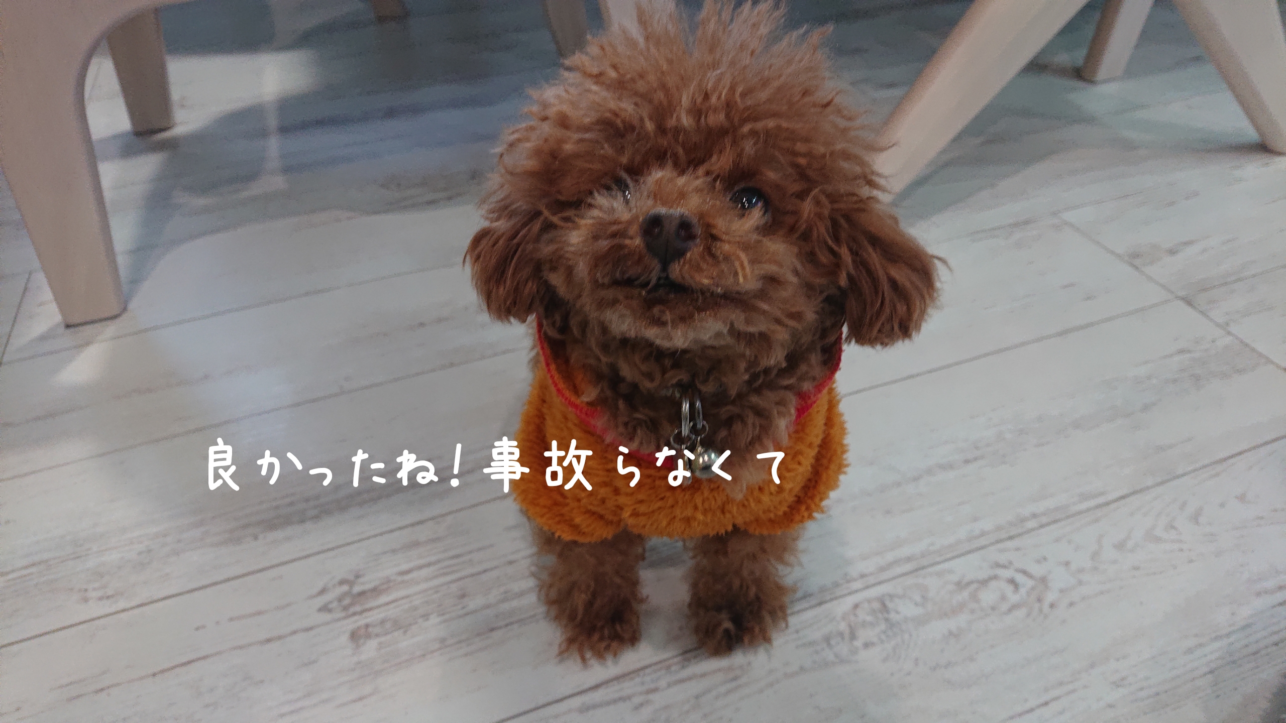 タイヤのひび割れに御用心