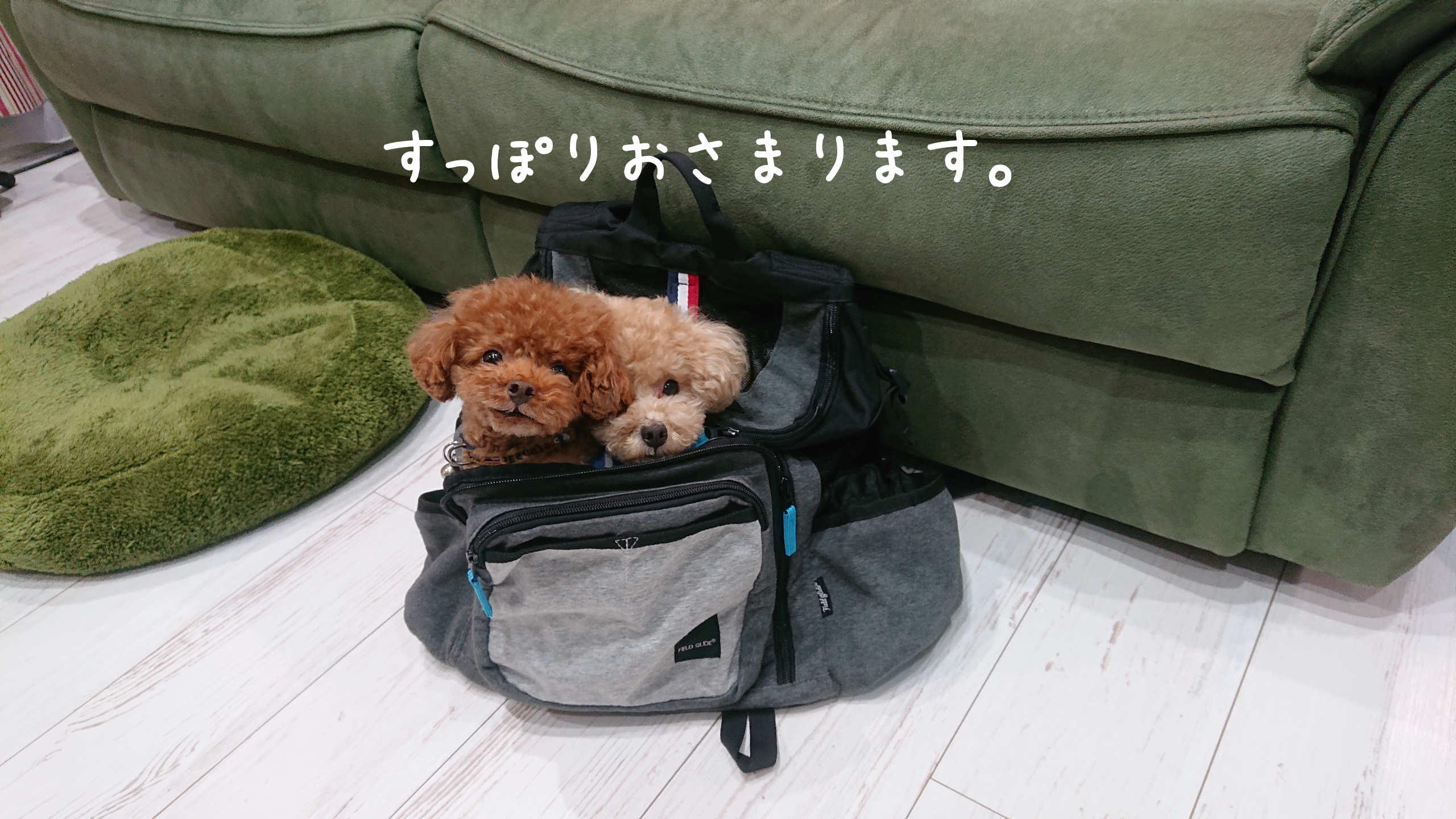 リュック大好き😆💕