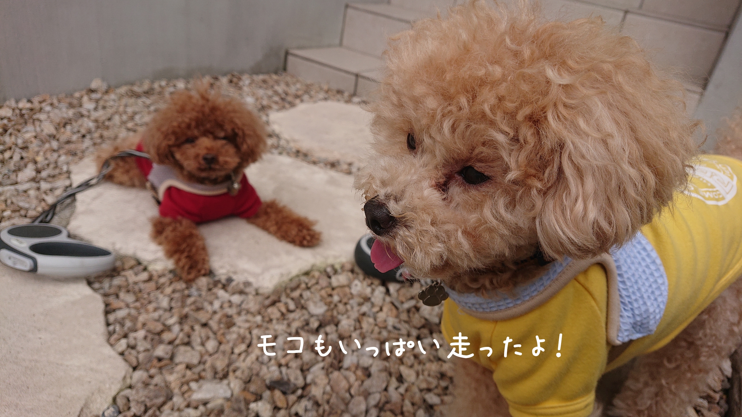 コロナ太りなのか！？