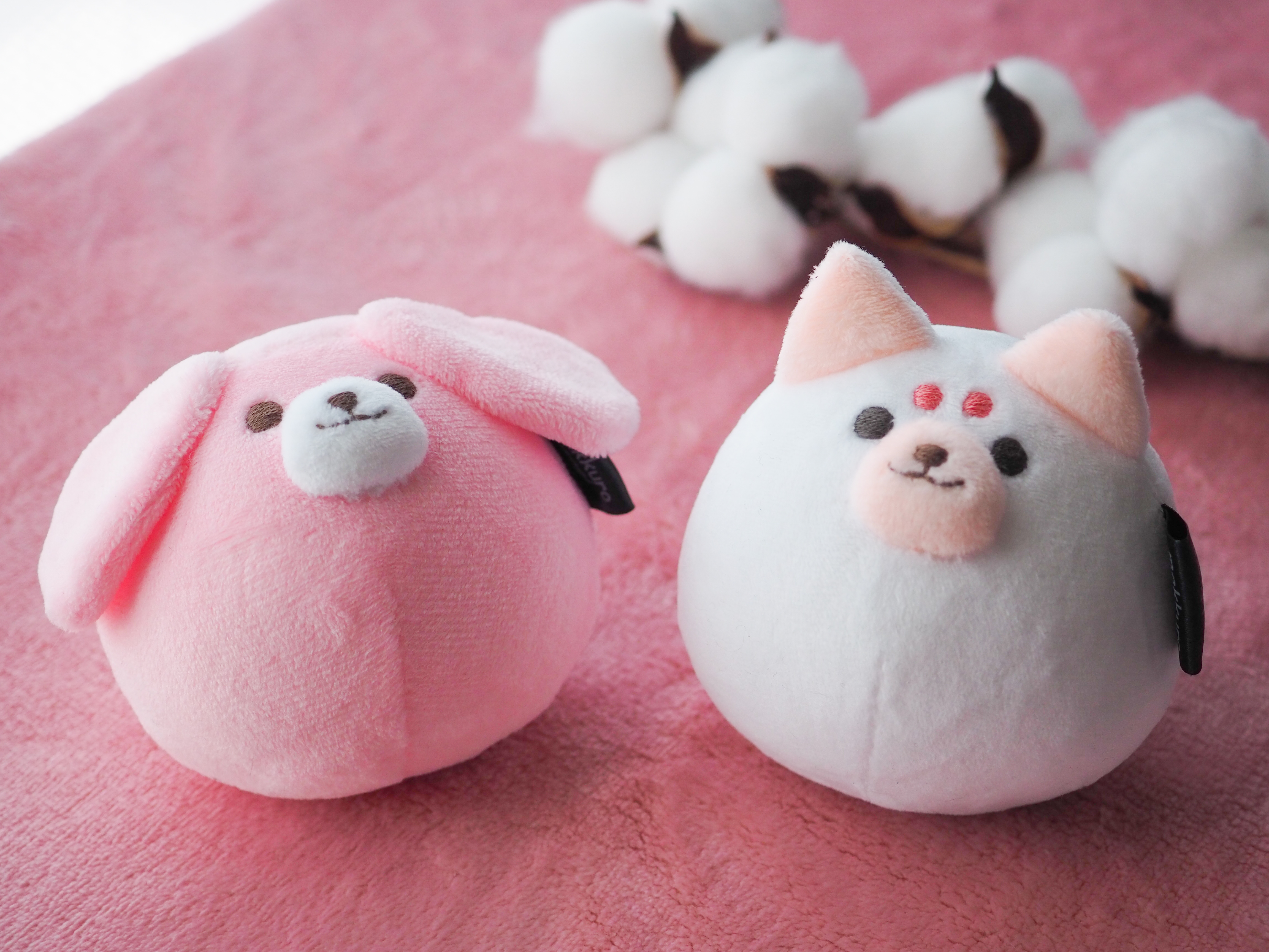 【 新作販売 】9/1（金）20:00〜
