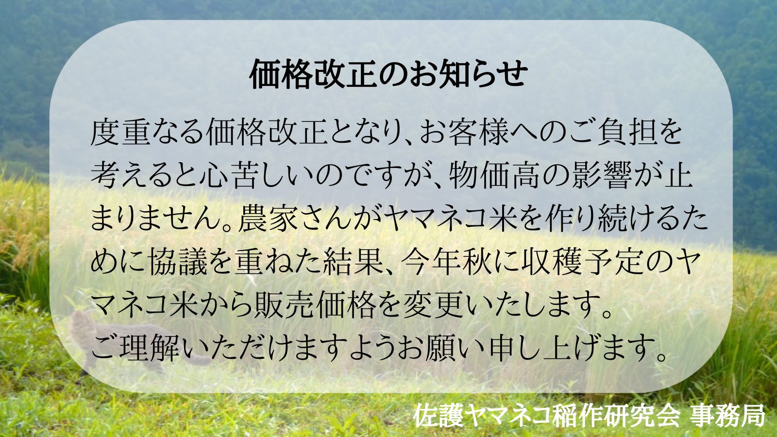 【お知らせ】佐護ツシマヤマネコ米の価格変更について
