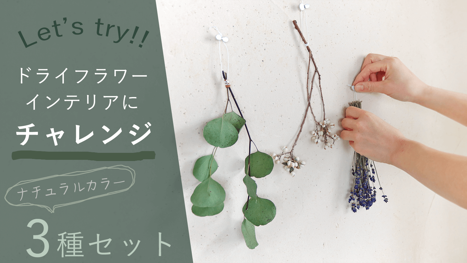 初心者さんでも簡単♪ ドライフラワーインテリアを楽しむ ナチュラル３種セット