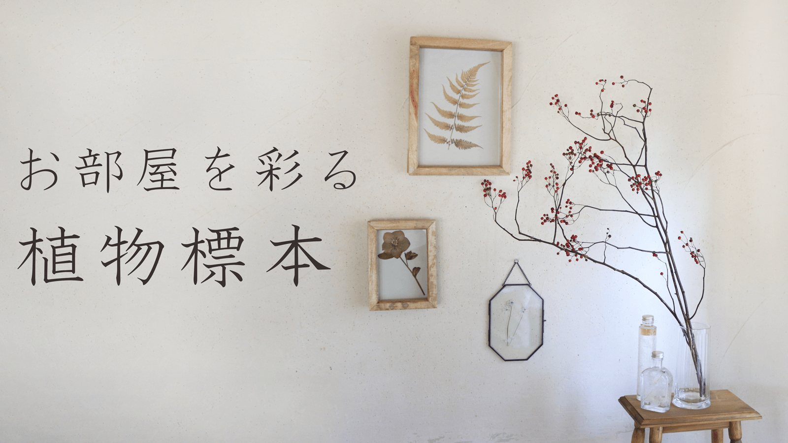 お部屋を彩る植物標本 - ドライフラワーのおしゃれなボタニカルインテリア