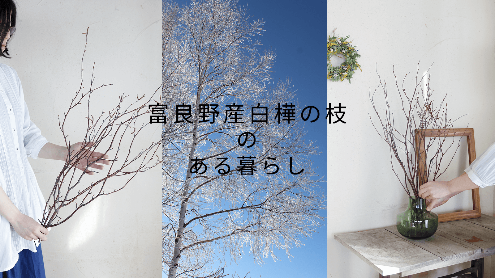 ドライフラワーの飾り方 ＊ 富良野産白樺の枝のある暮らし