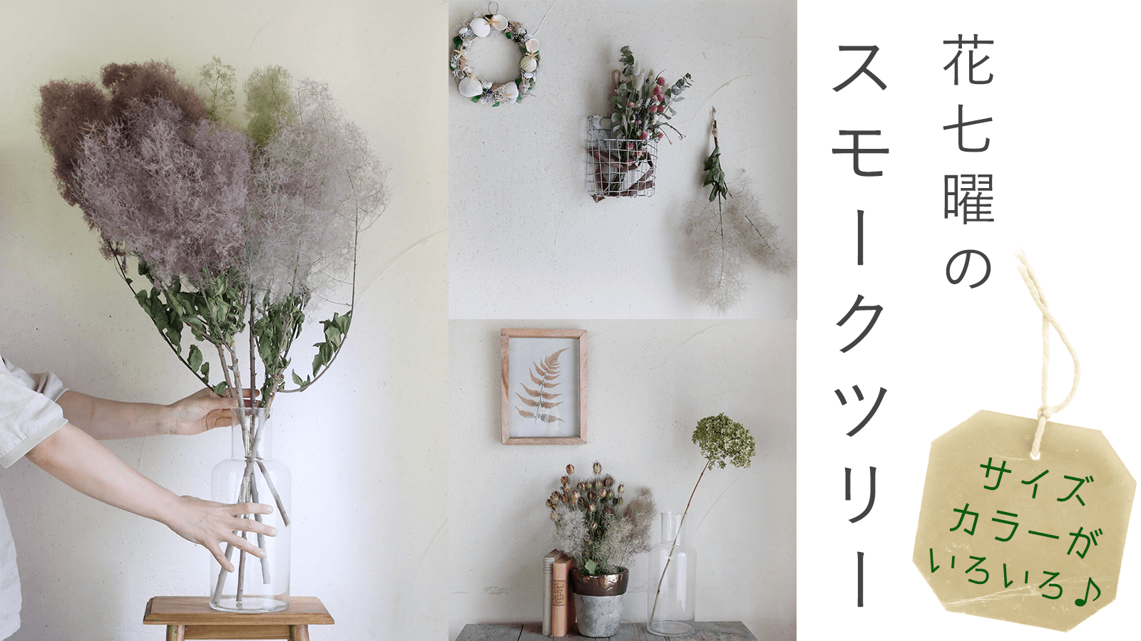 花七曜のスモークツリーたち ◆ サイズ・カラー 色々 ◆ 色んな飾り方を楽しんで♪