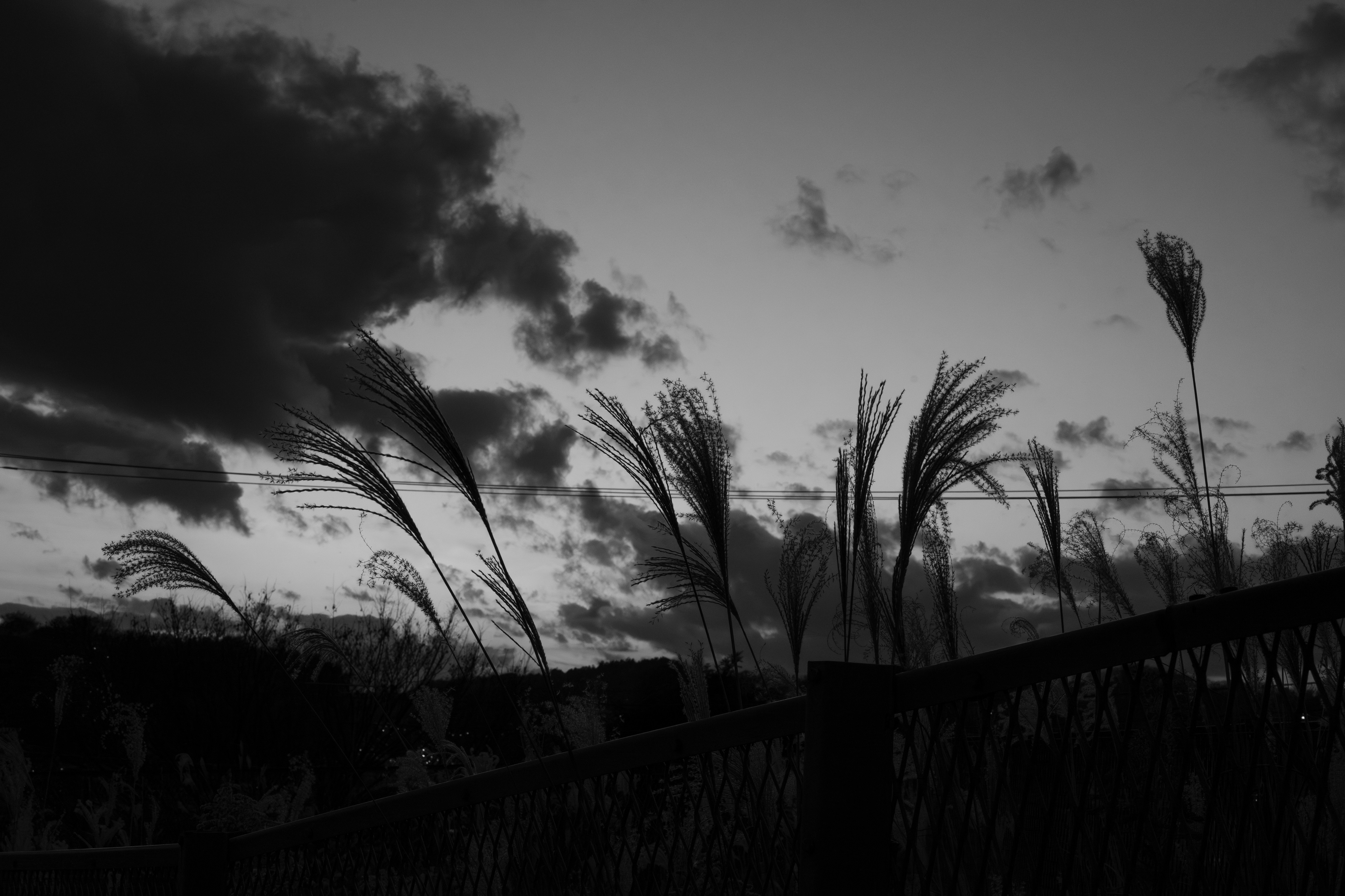 賀正なのか新春なのか