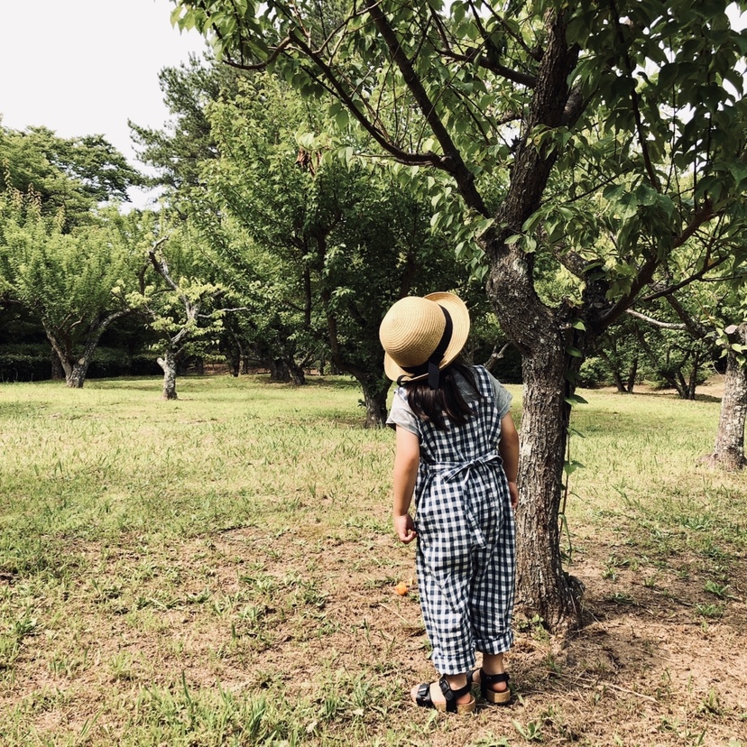 Little Cotton Clothes リトルコットンクローズ