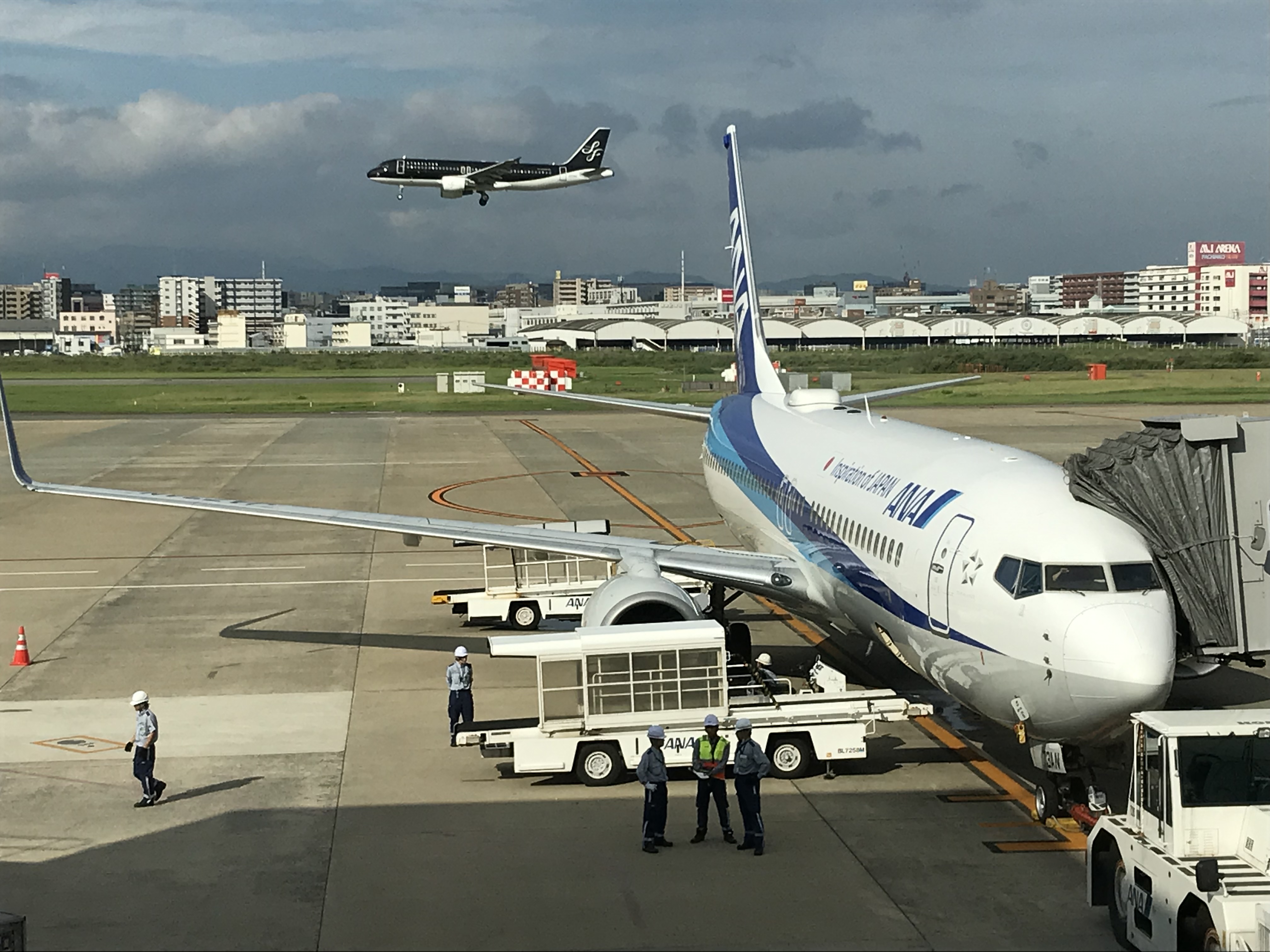 しばらく発送ができません