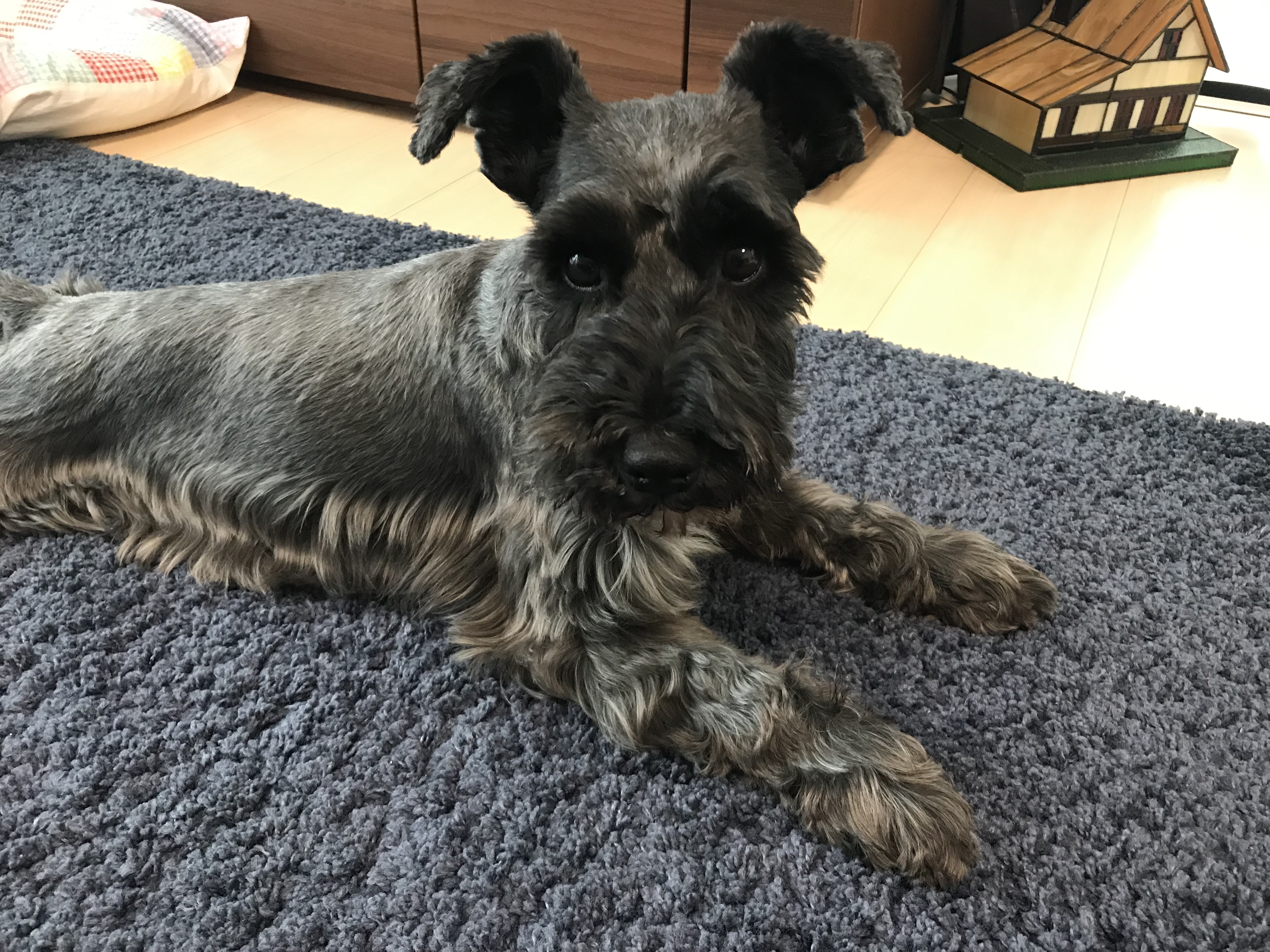 オープン初日終了しました！