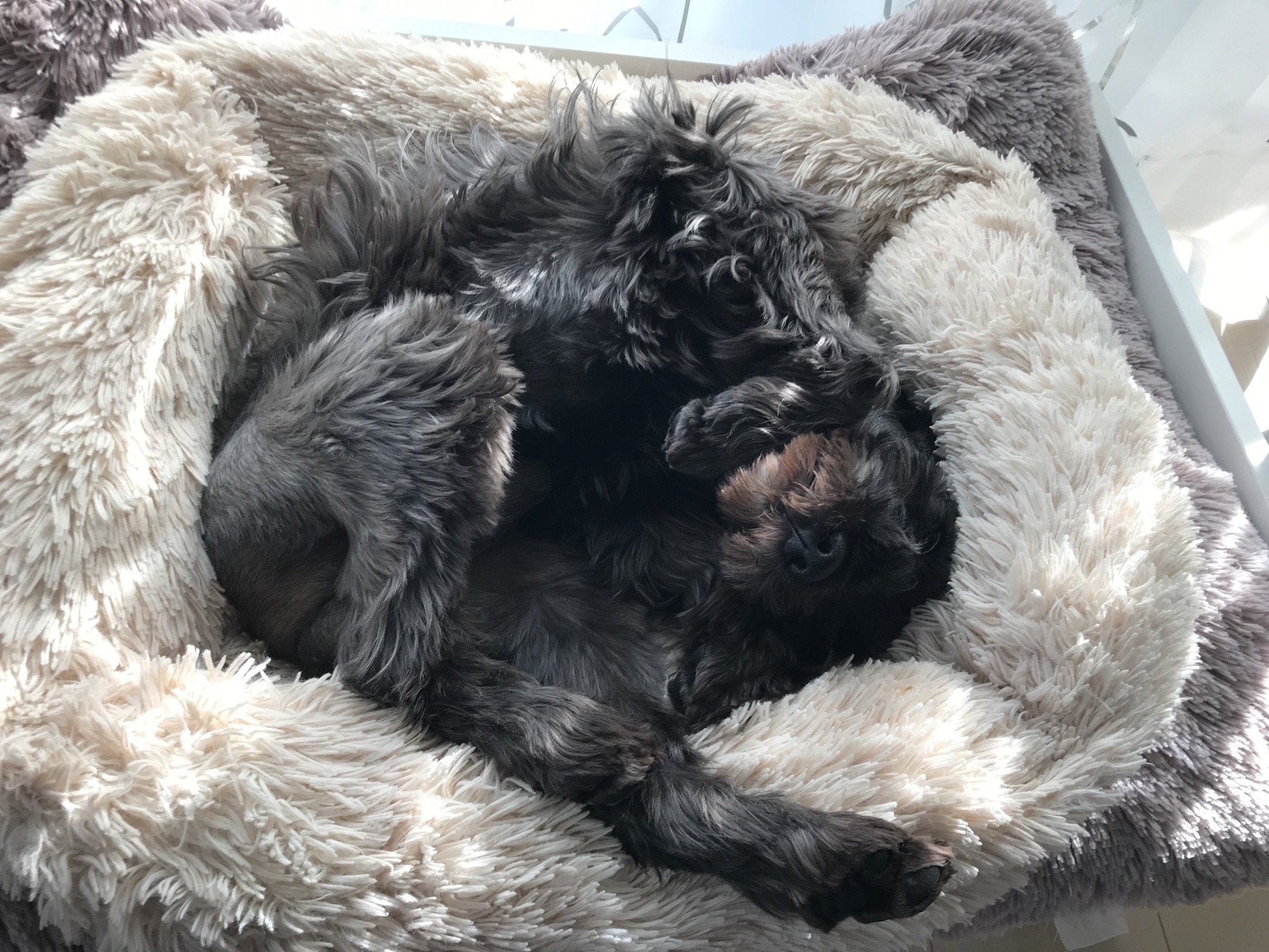 なにがなんだかわからない寝方