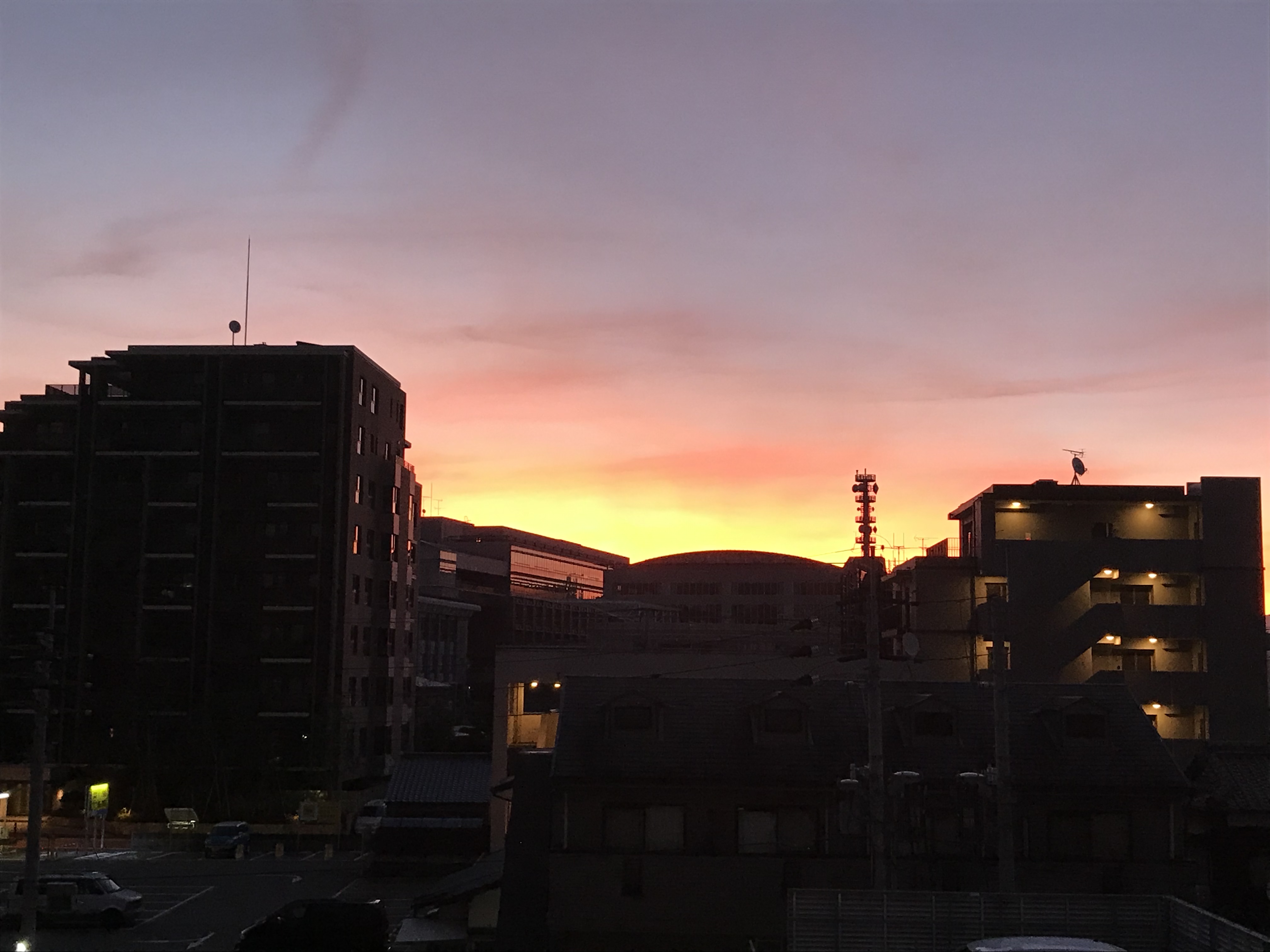 夏休みのクマおじさんクマの巣から出る