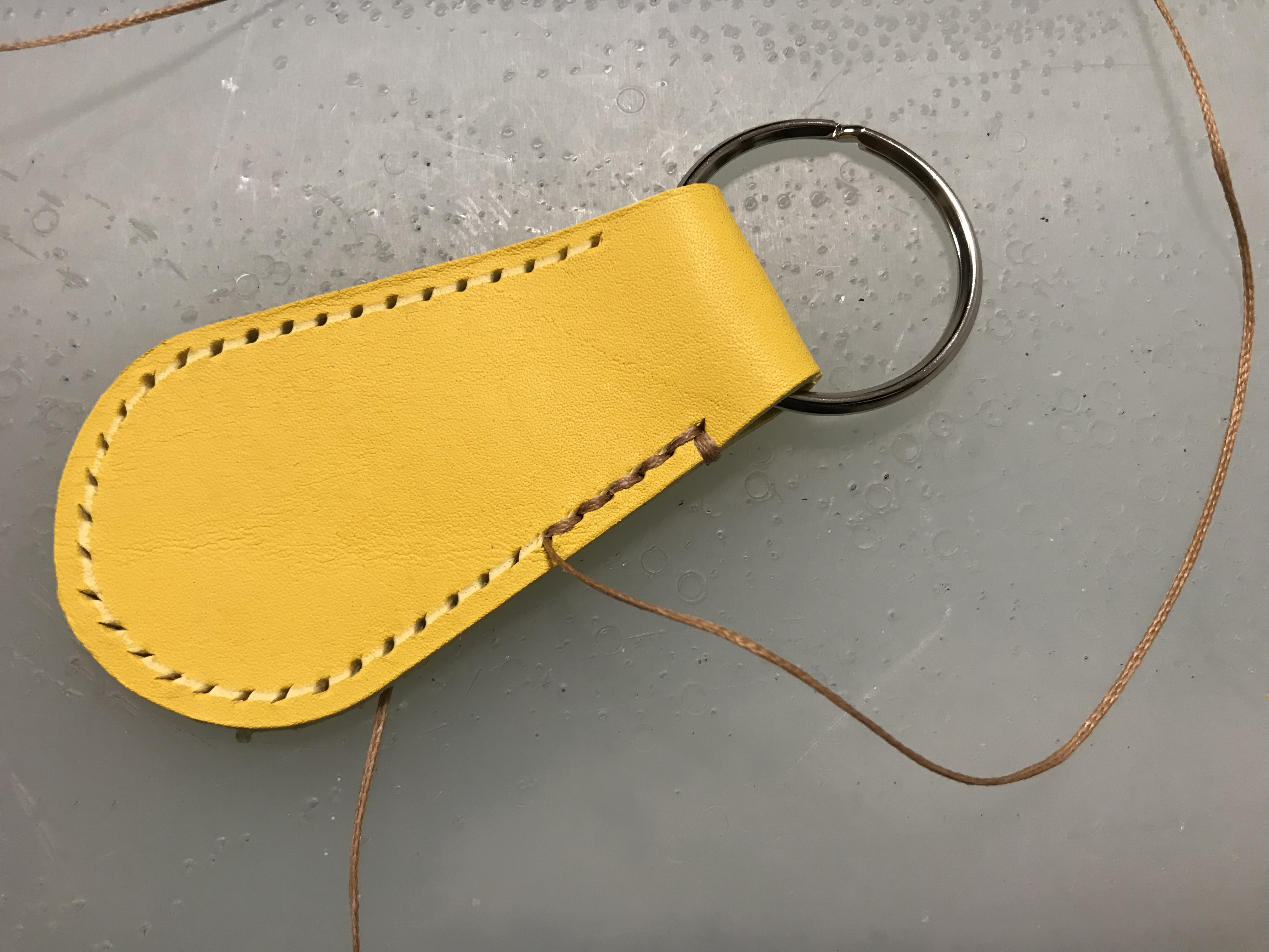 今日こそは！！！