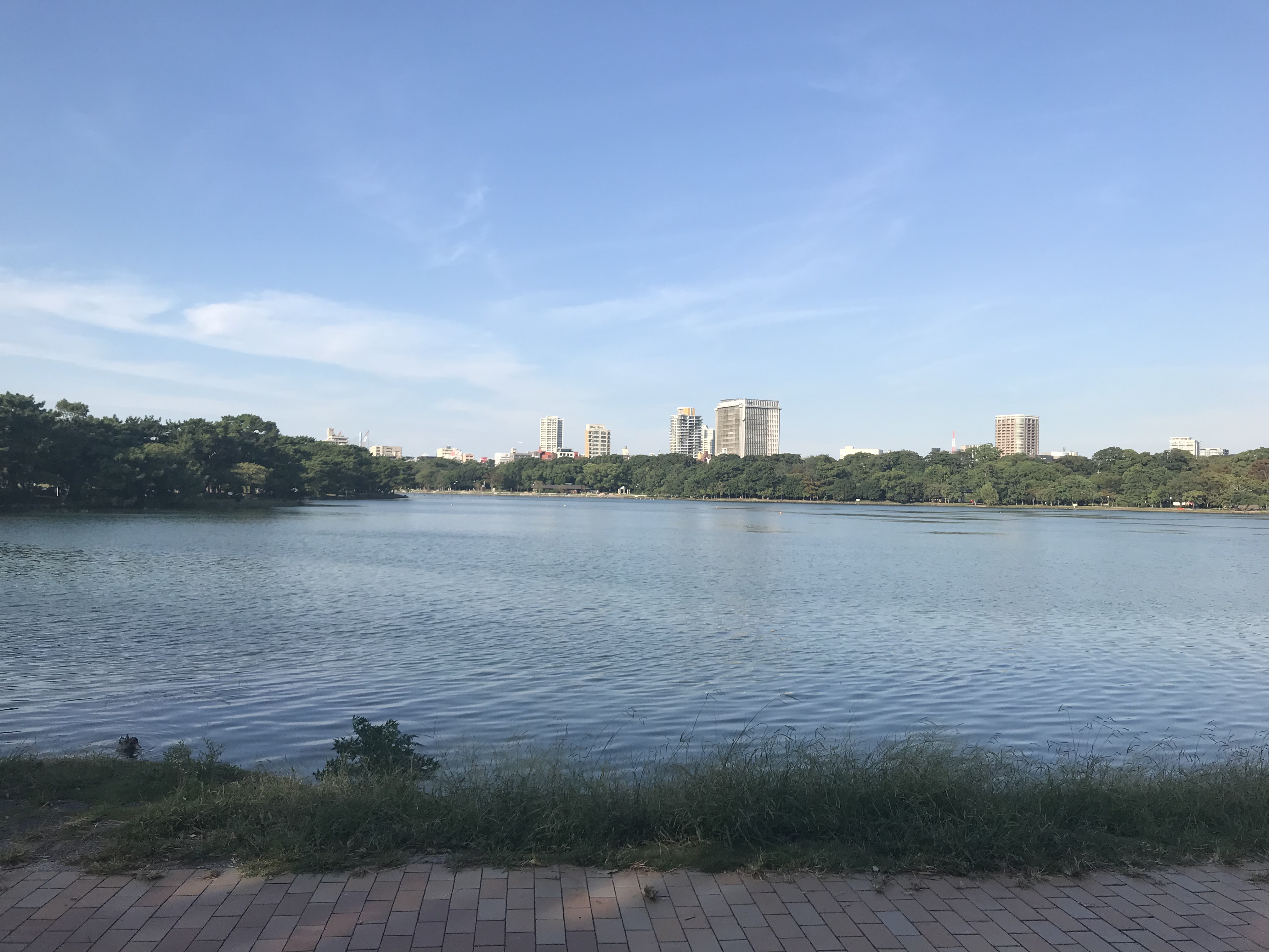 9/26日より9/30日まで発送できません