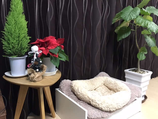 クリスマス気分