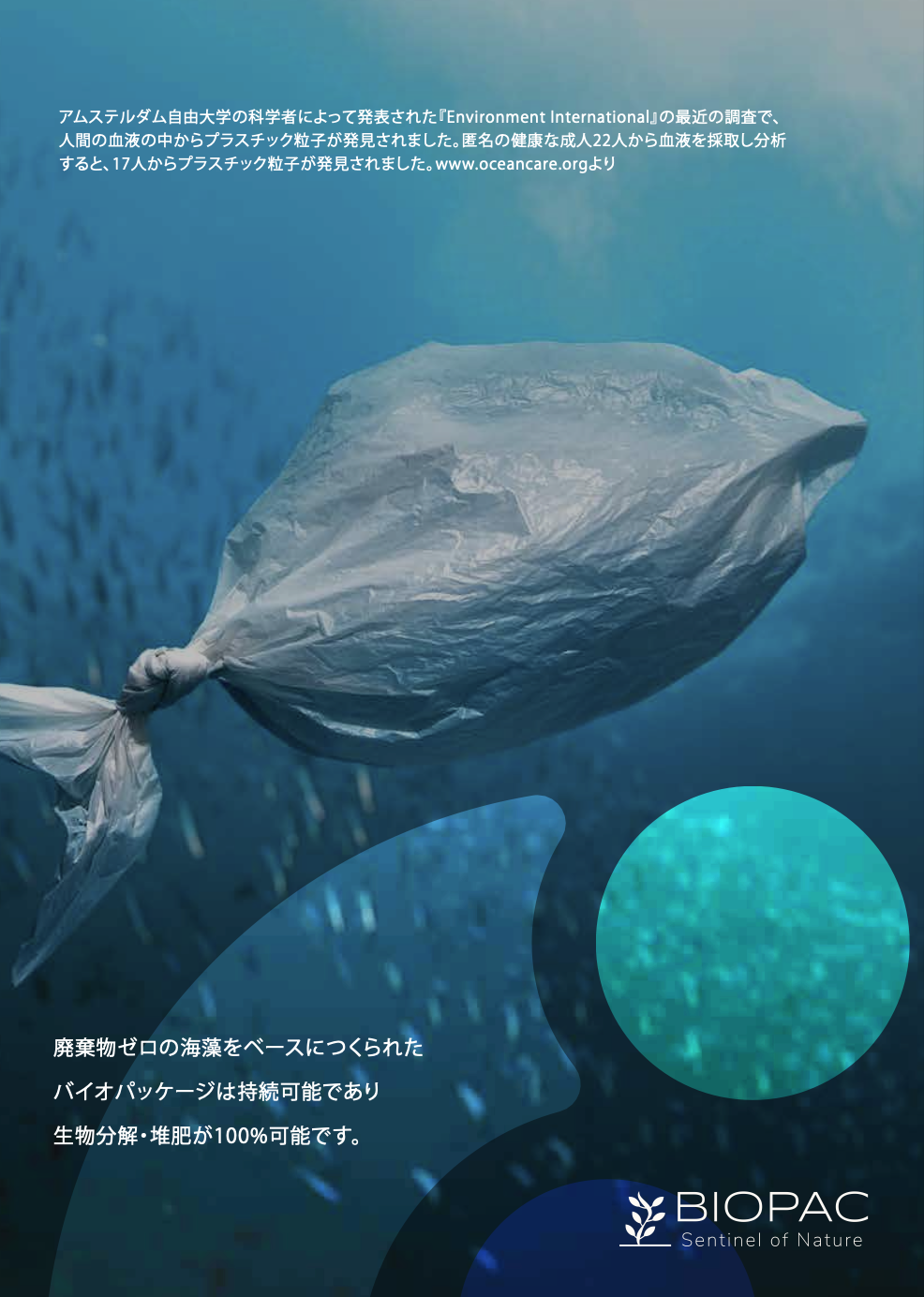 プラスチックが人体に与える影響