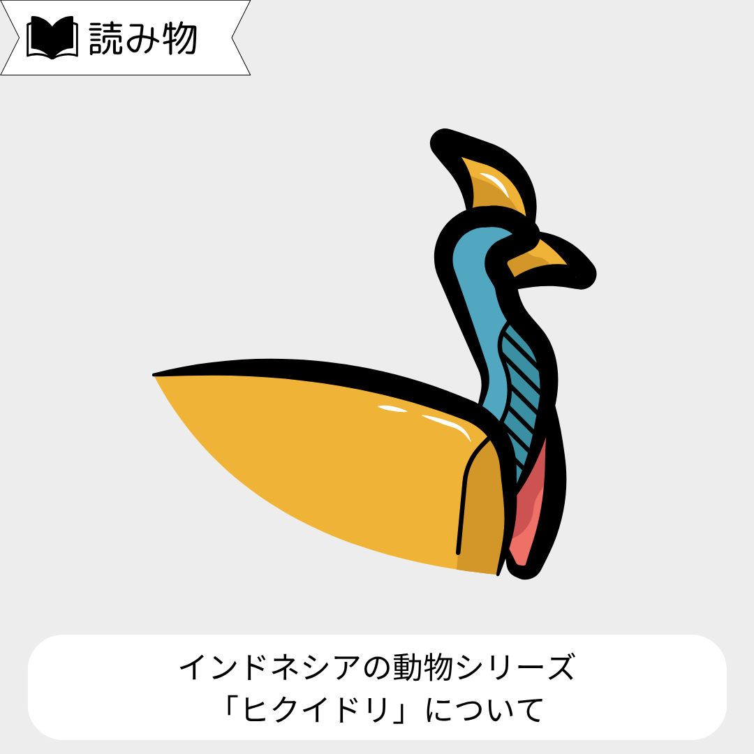 インドネシアの動物シリーズ 〜「ヒクイドリ」について〜
