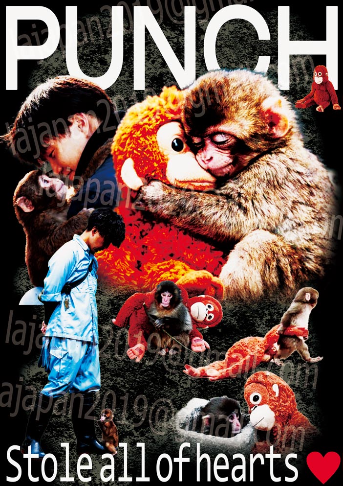 【2026年新作】☆RAPTEE★PUNCH（パンチ）君  市川市動植物園の心を打つ小さなヒーロー