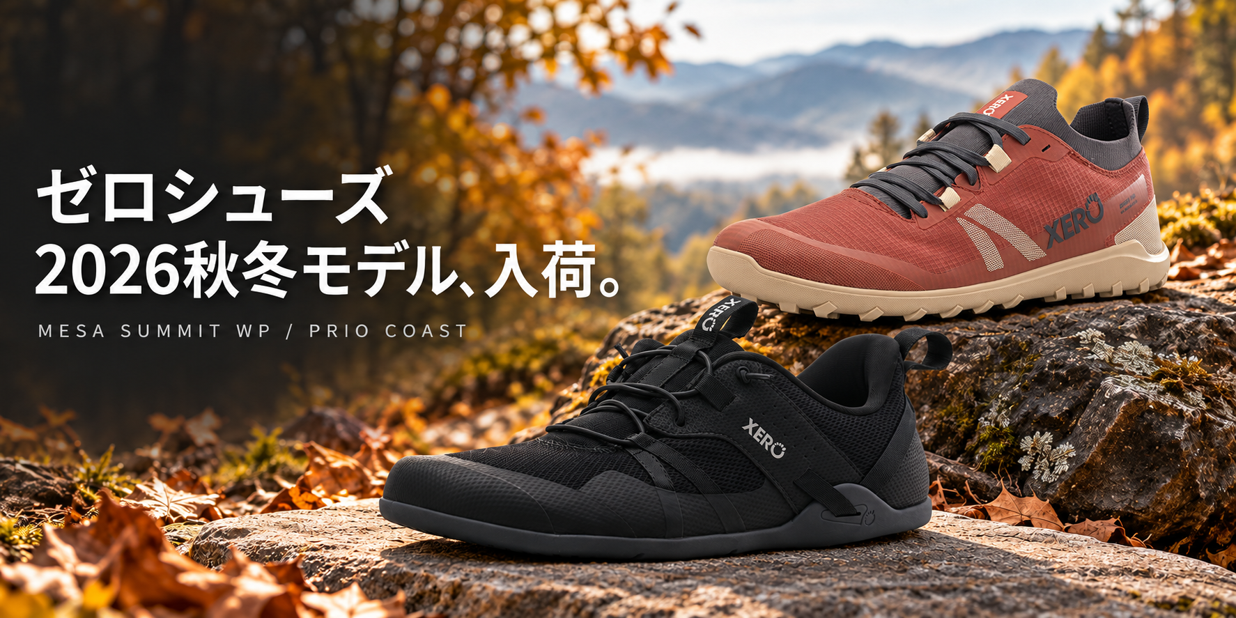 👣 足元から、もっと自然に。ゼロシューズの2026年秋冬モデルが入荷しました!