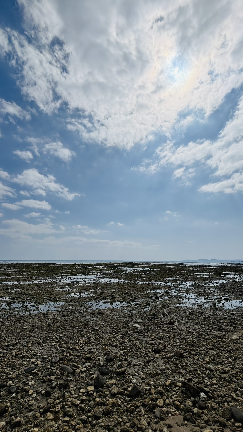沖縄出張報告 ― ご縁とこれから