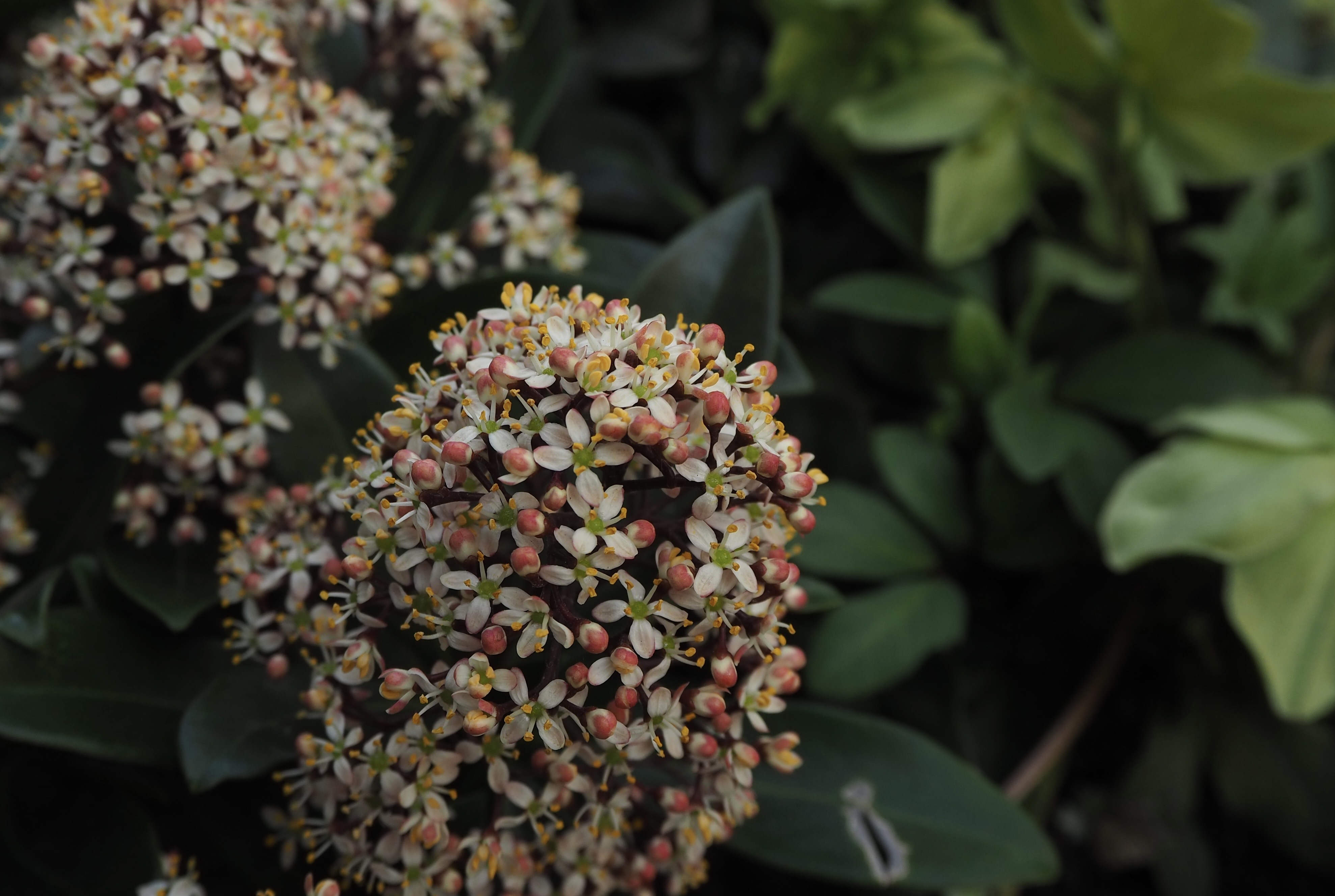 わたしたちのコンセプト