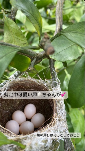 そっとしておく