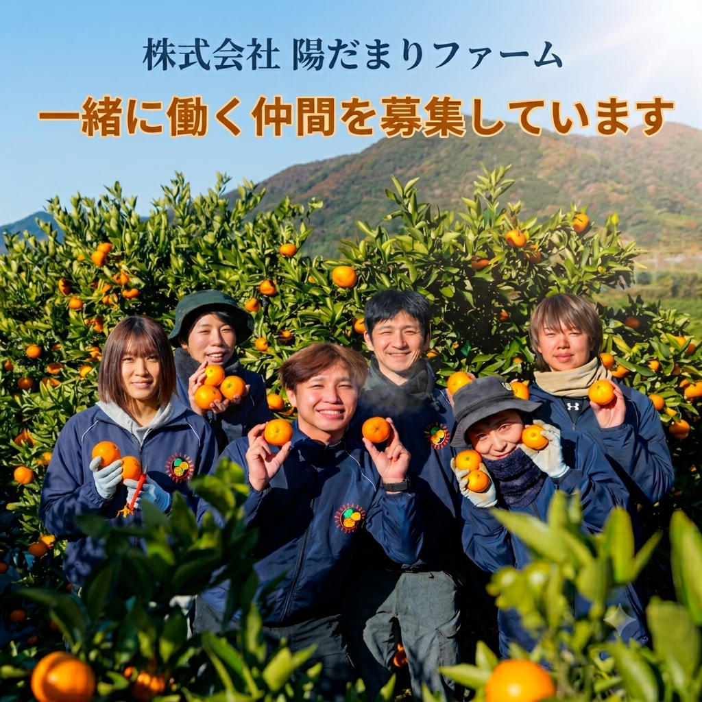🍊陽だまりファームで一緒に働く仲間を募集しています