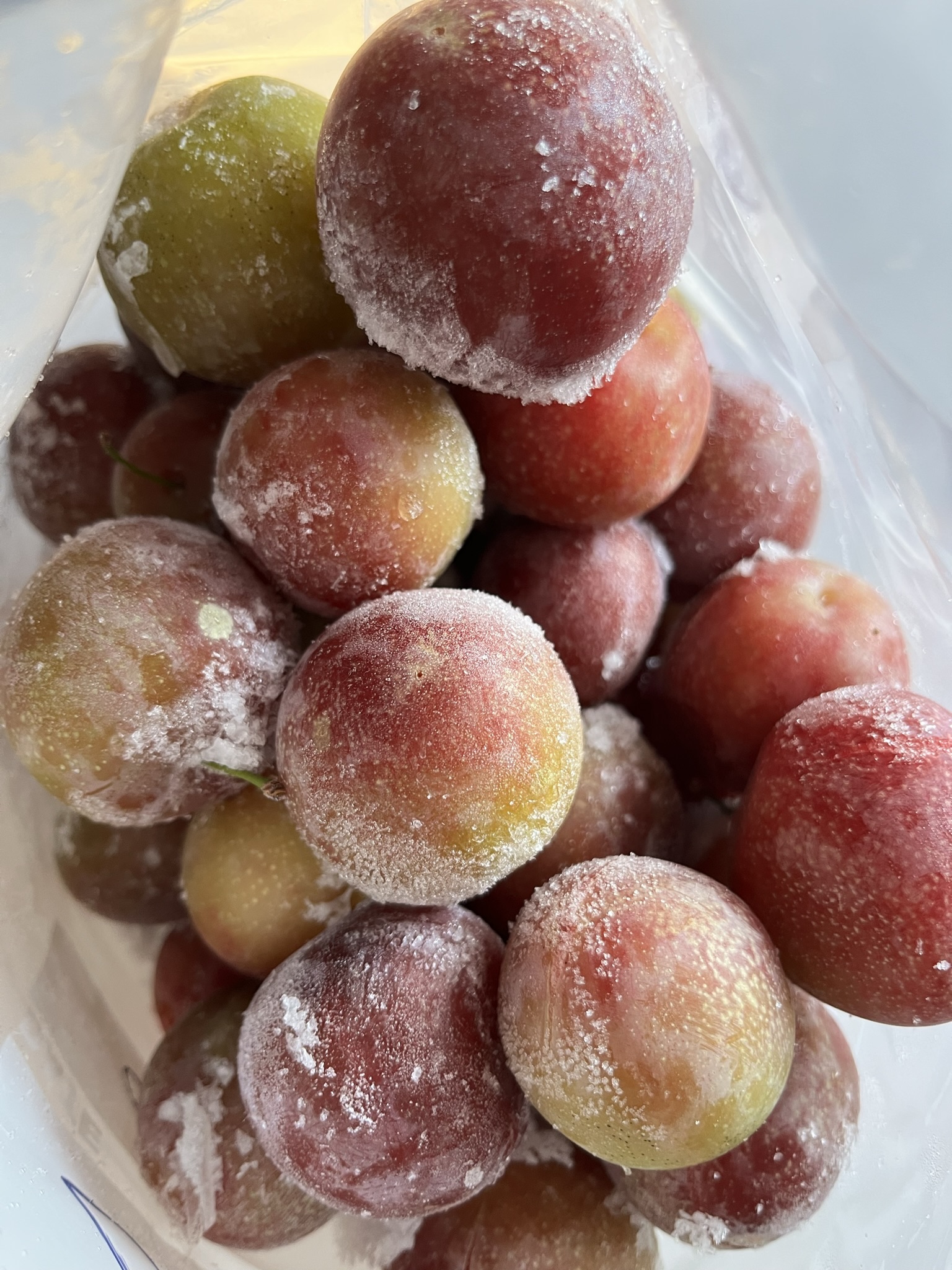 非常に珍しいフランスの果樹ミラベル冷凍品あります！