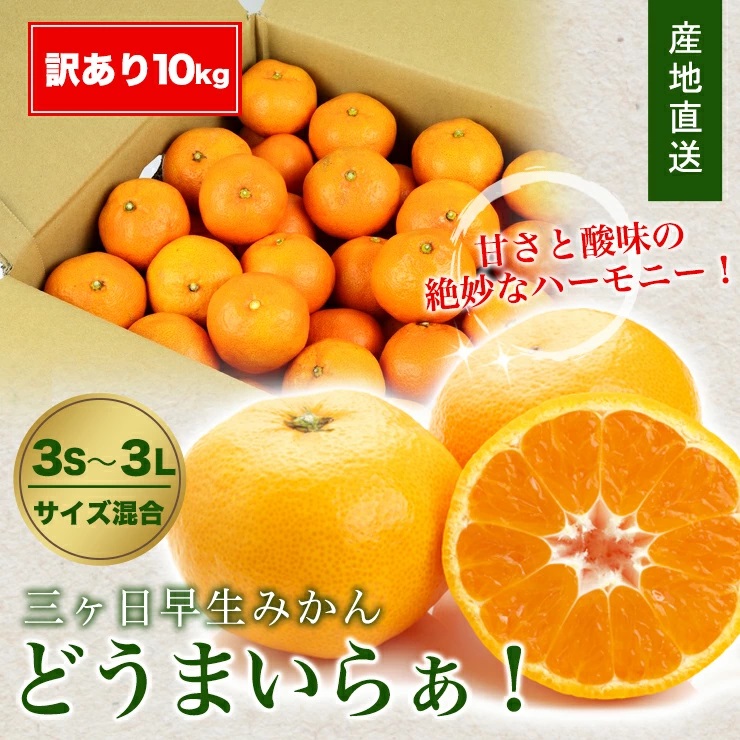 楽天でも販売準備
