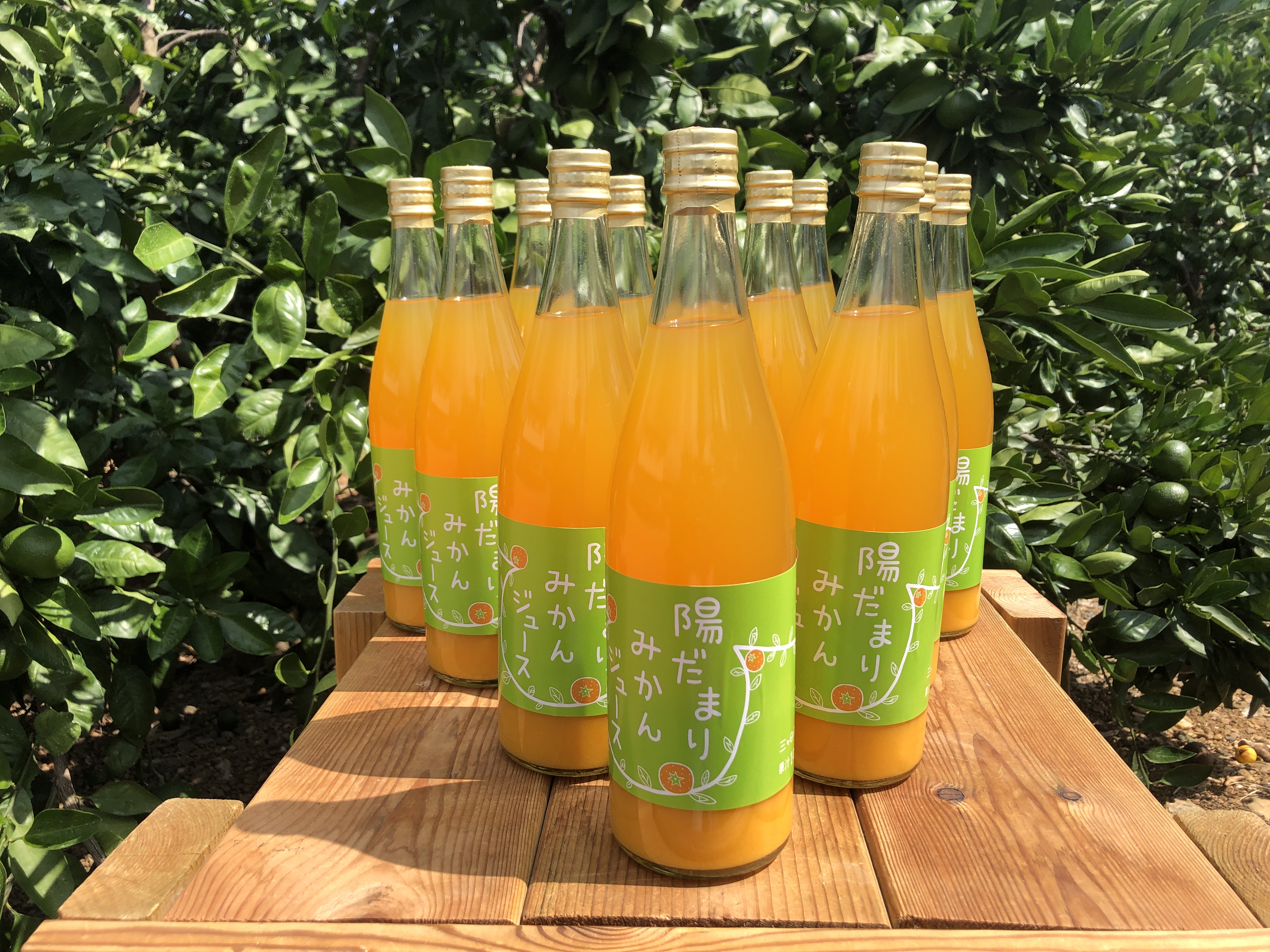 越境ECモールでの販売開始しました