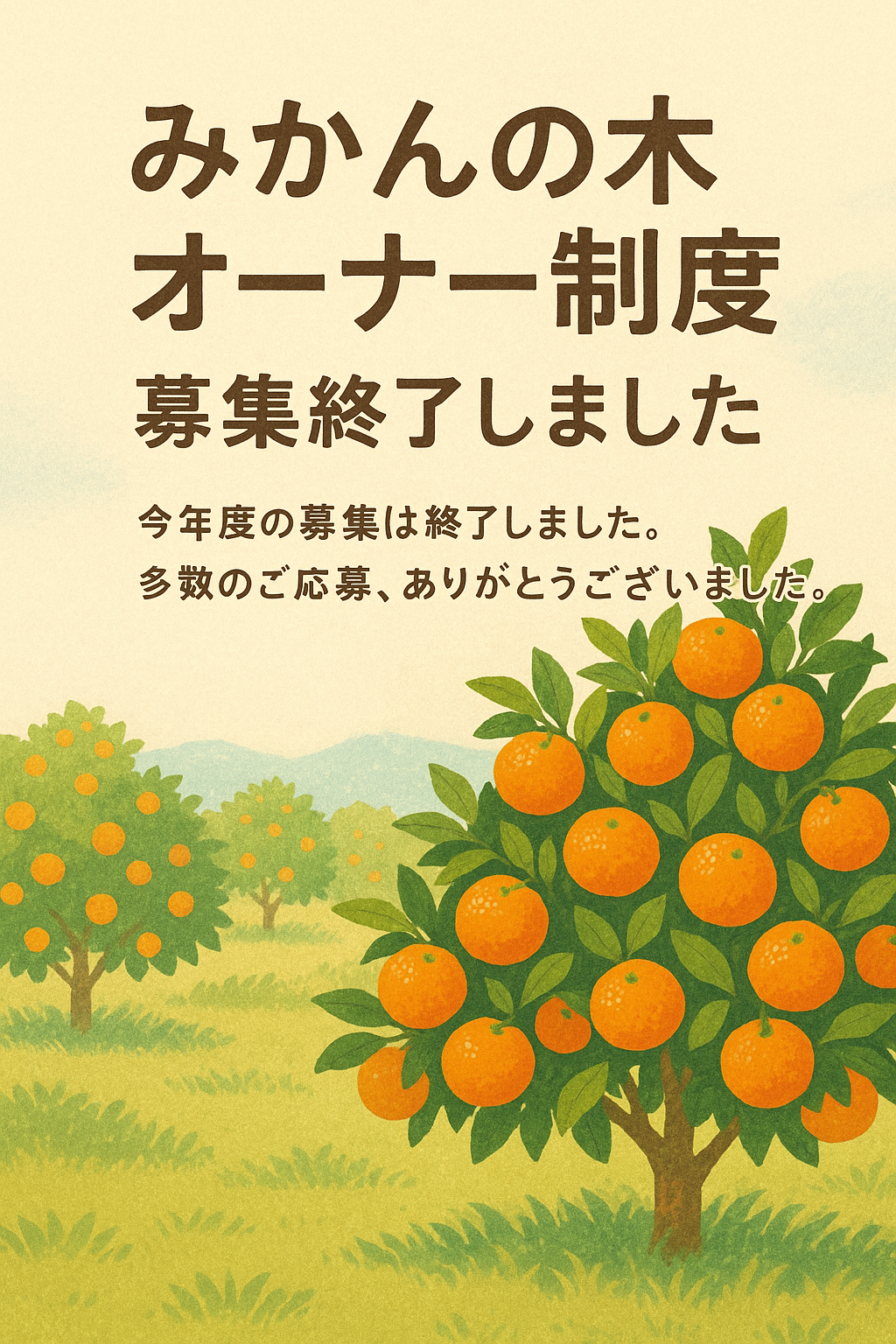 【大好評につき募集終了】みかんの木のオーナー制度 ～2026年度の募集は5月からスタート予定～
