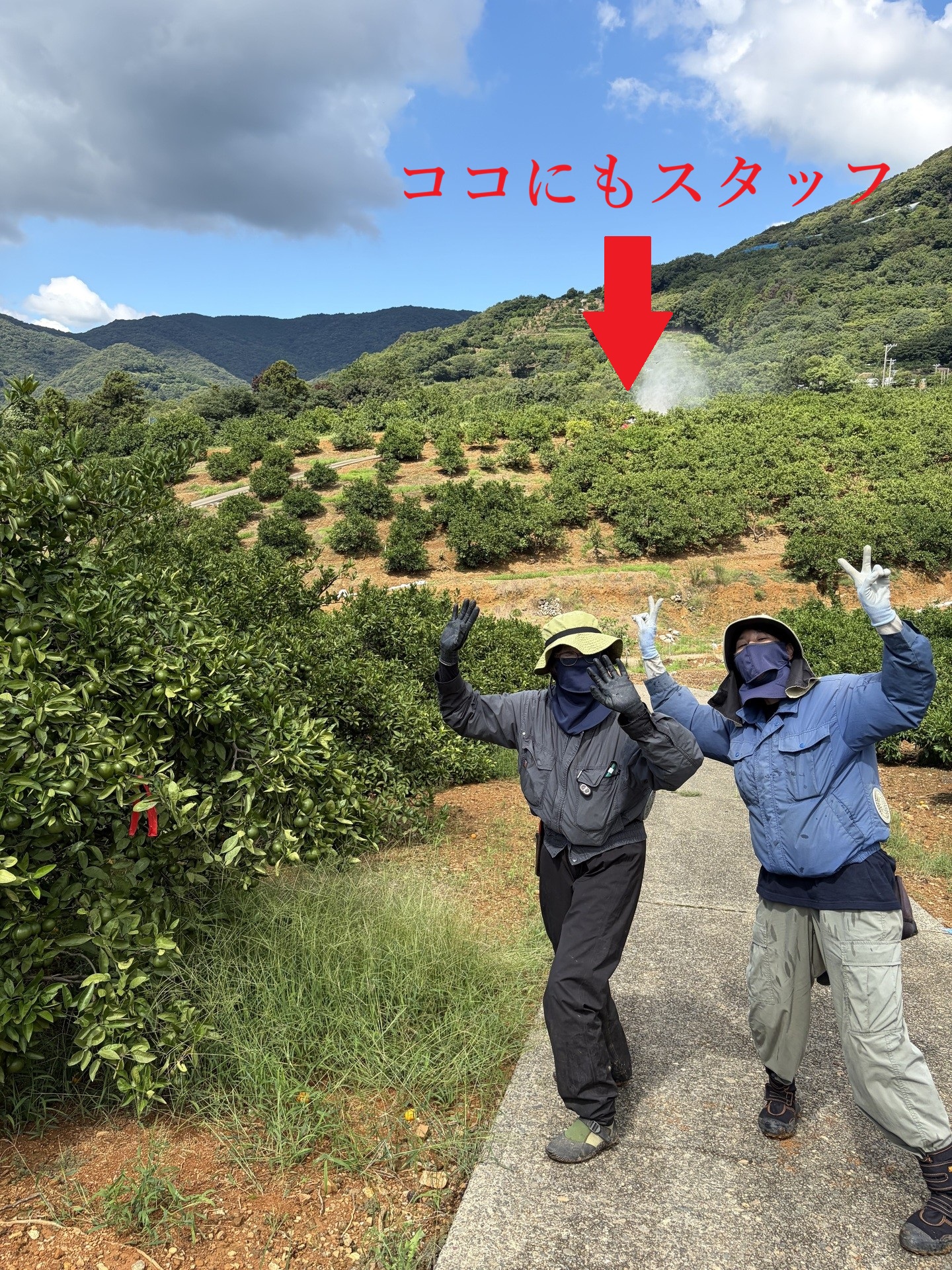 雨が欲しかったのに、今度は晴れが恋しい
