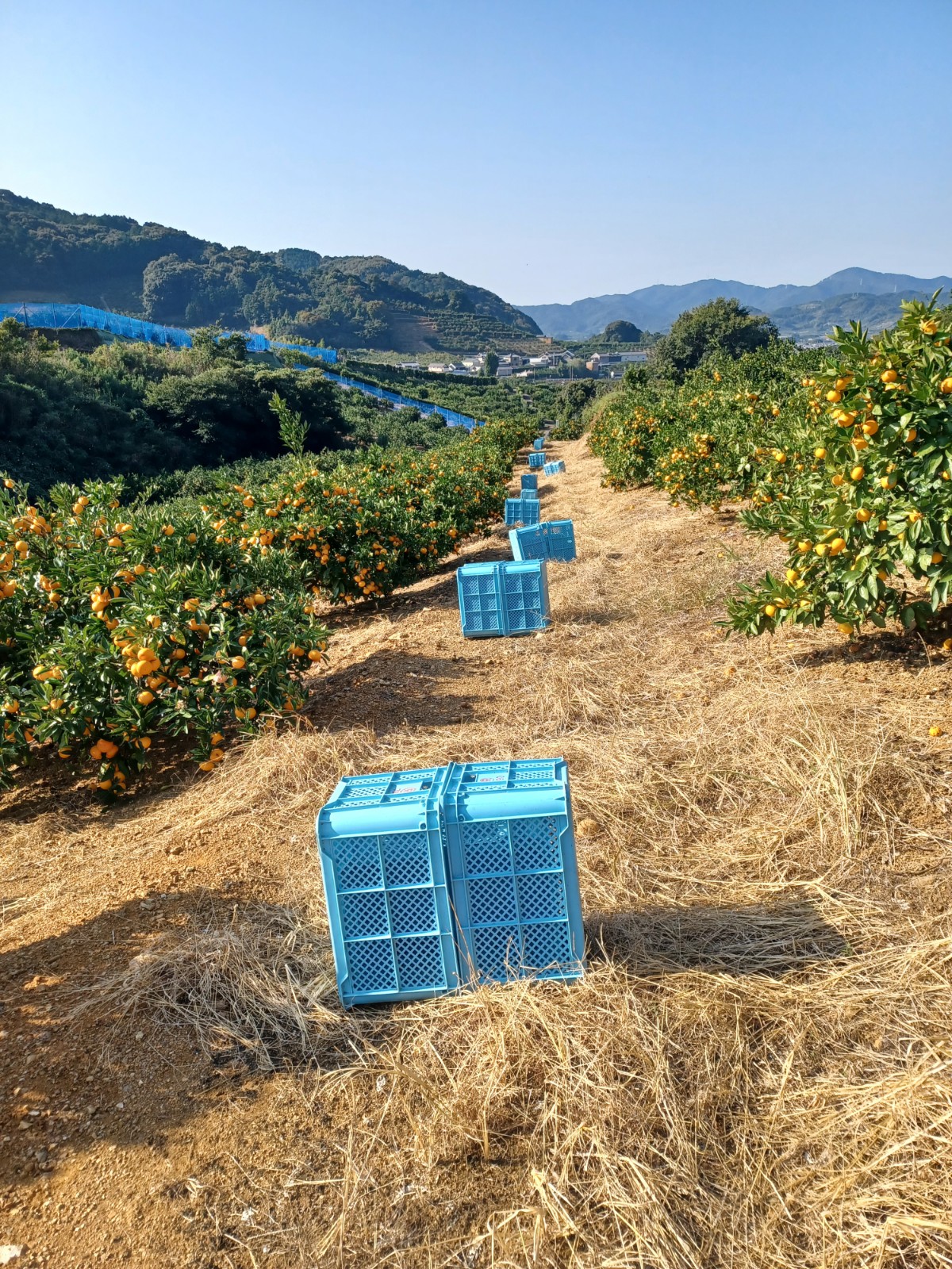 農地をどうするか？悩んでいる方へ