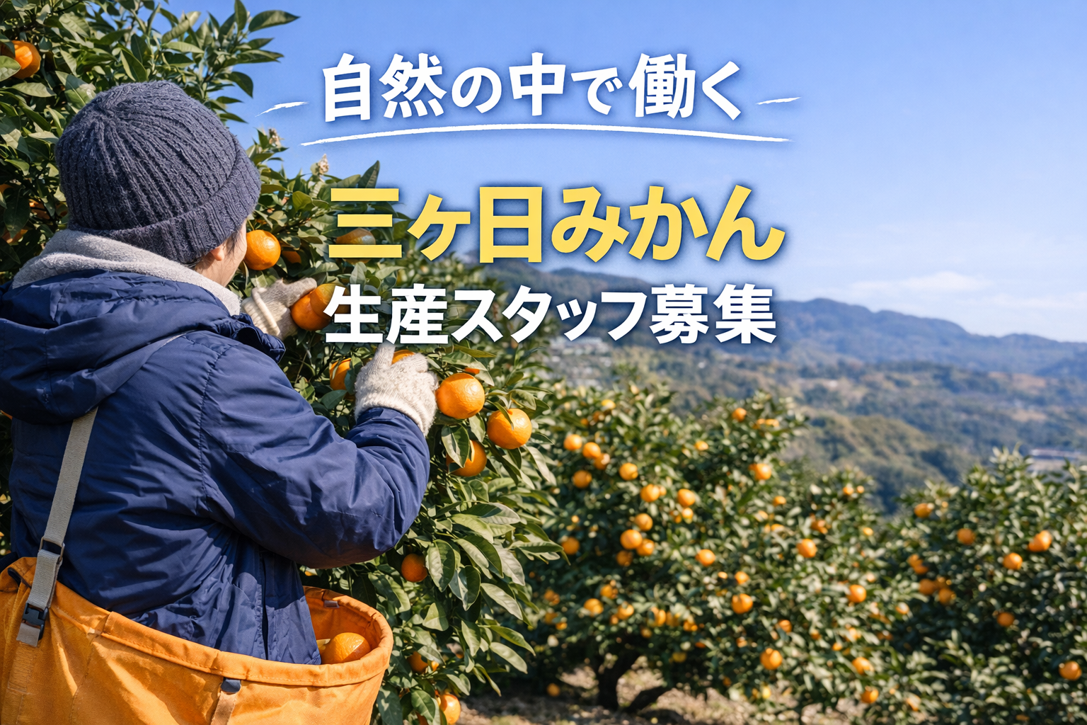 自然の中で働く仕事。みかん農園のスタッフを募集しています