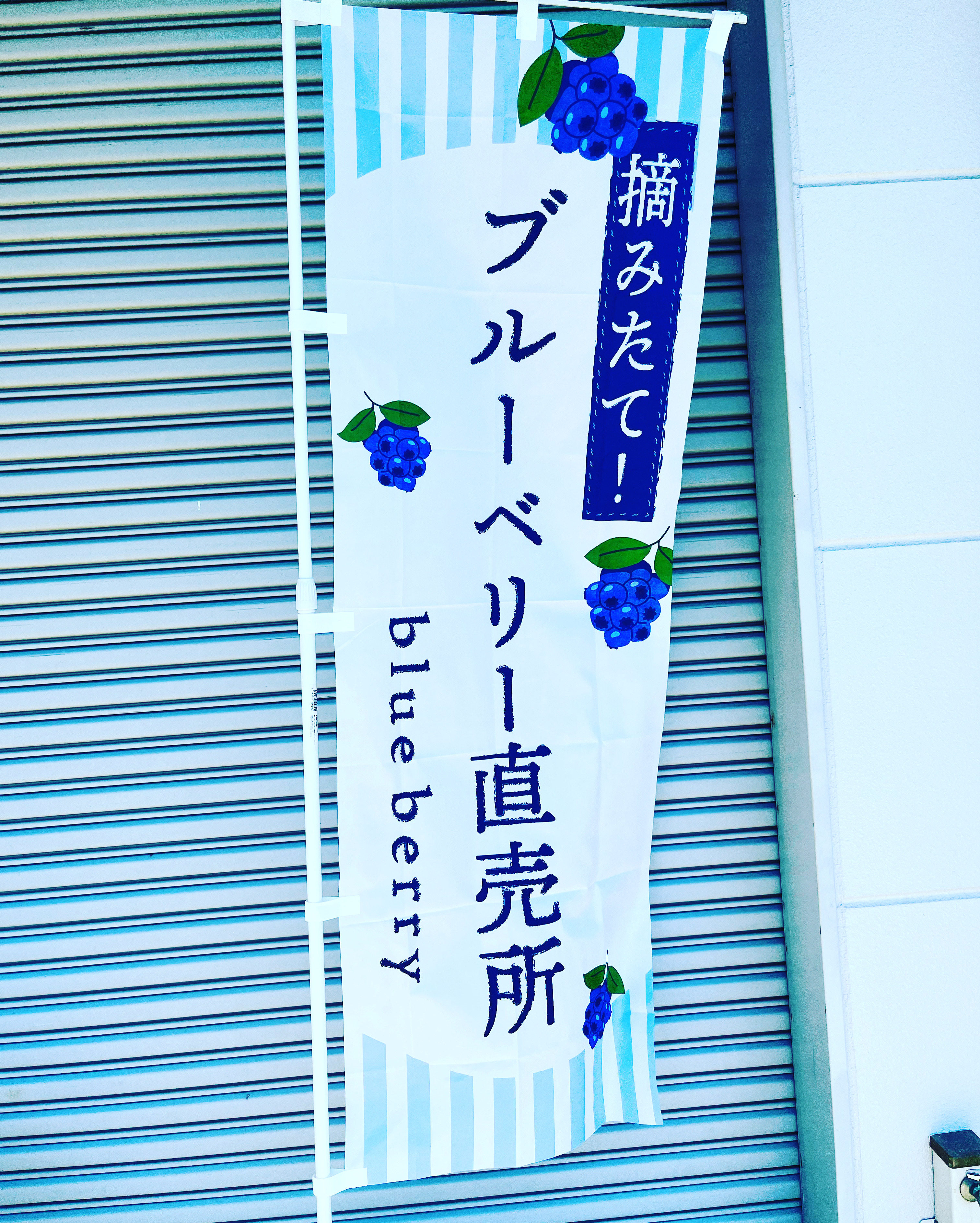 こんなところで直売所やるんです？