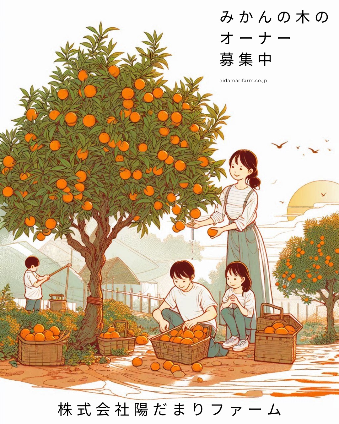🍊【三ヶ日みかんの木オーナー制度／残りわずか！】🍊