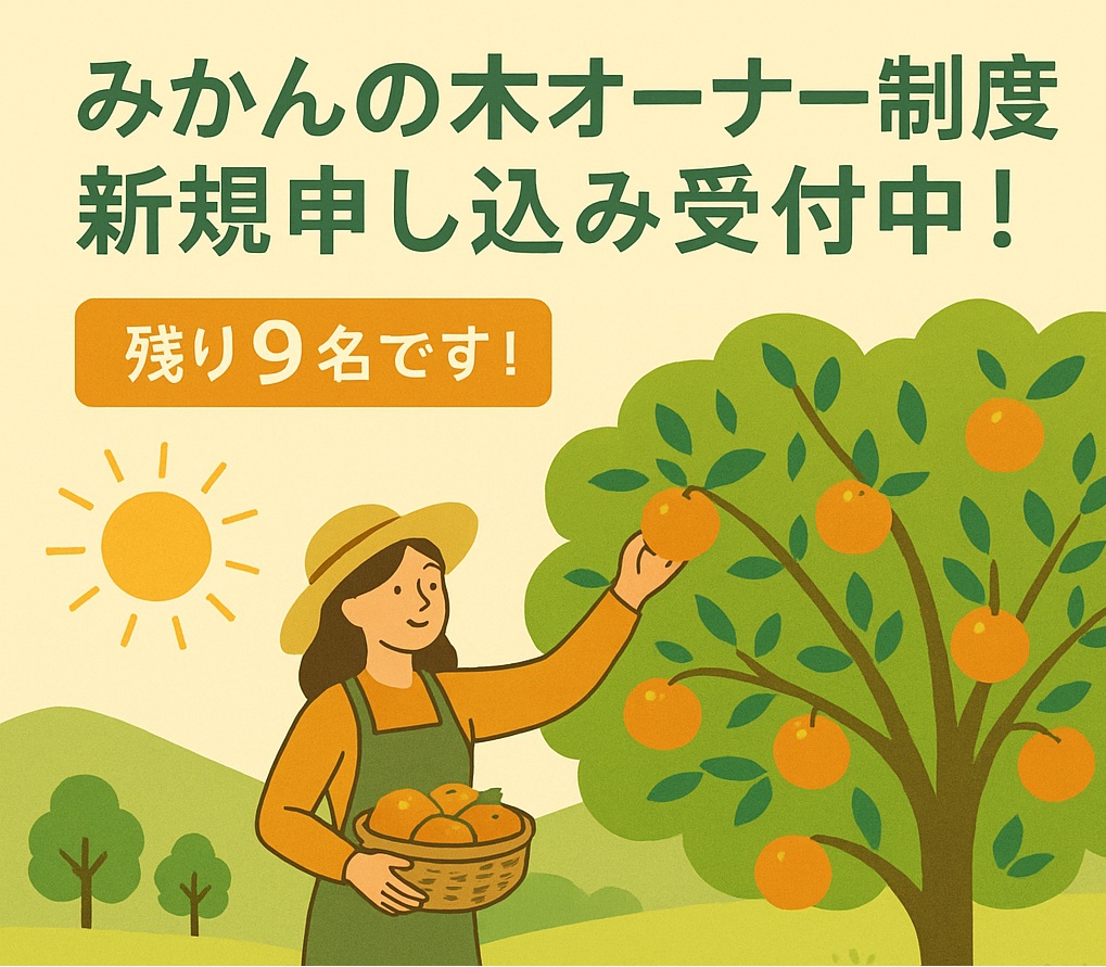 🌿【みかんの木オーナー制度・新規申込受付中！】🍊